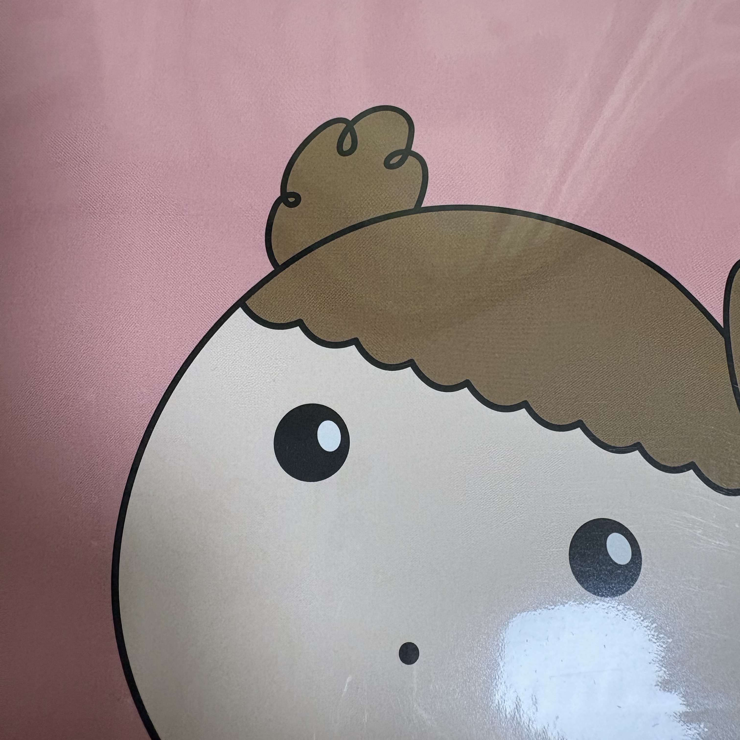 Maru is a Puppy A5 Bind Note Jjonggut Maru 착용 스타일