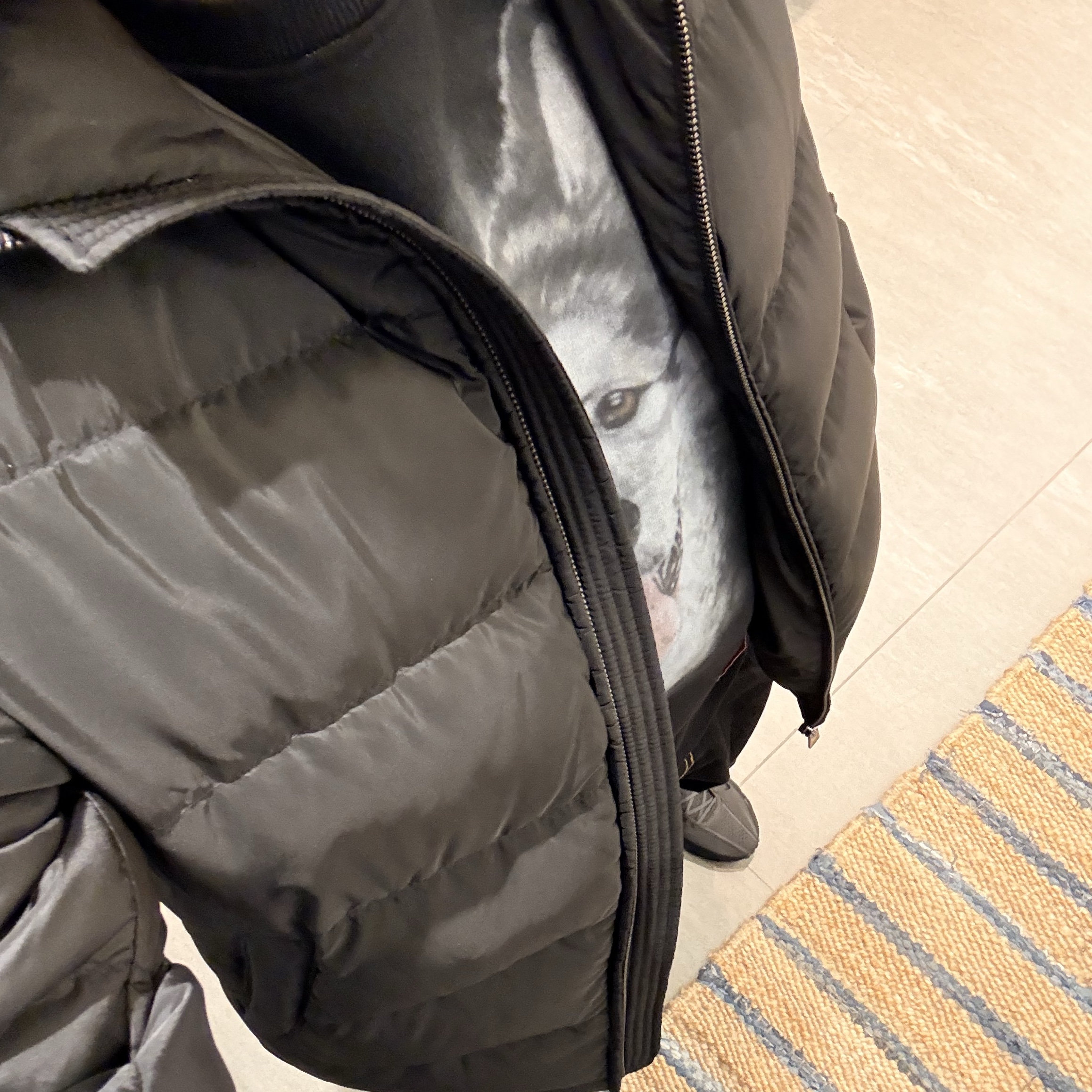 Prada Triangle Logo Down Jacket Black, Maison Mihara Yasuhiro Dog Printed Sweatshirt Black 착용 스타일