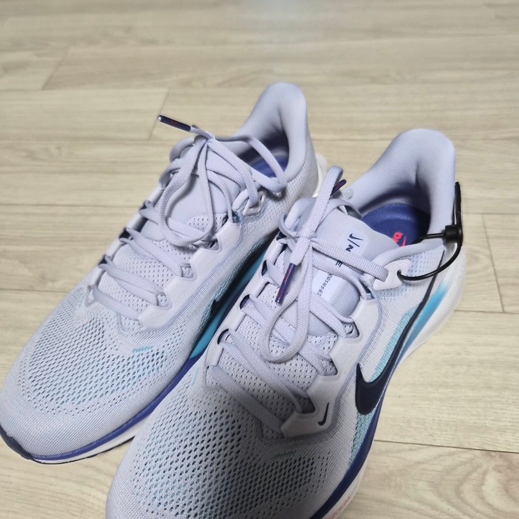 Nike Air Zoom Pegasus 41 Ghost Football Grey 착용 스타일