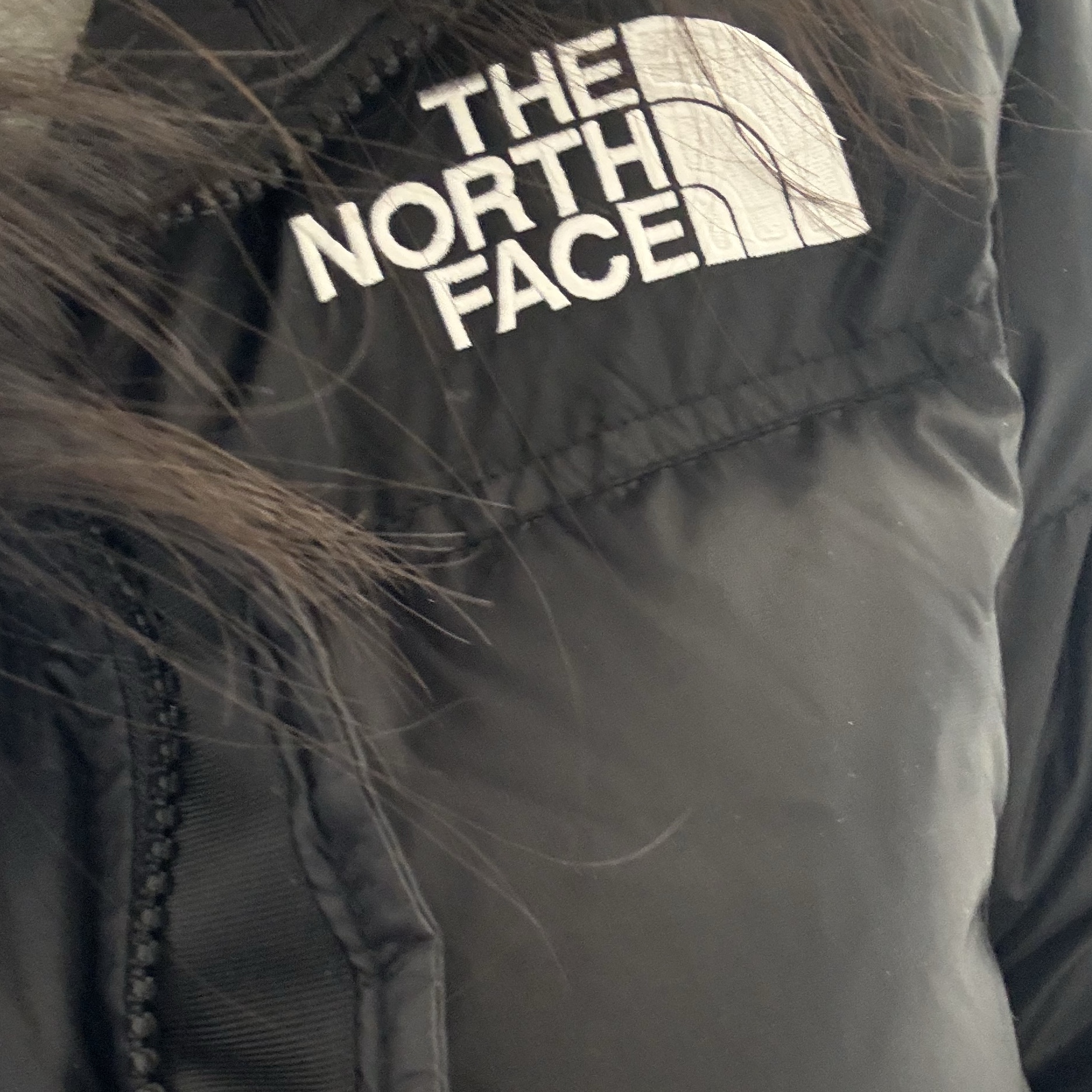 (W) The North Face Nuptse Short Jacket Black 착용 스타일