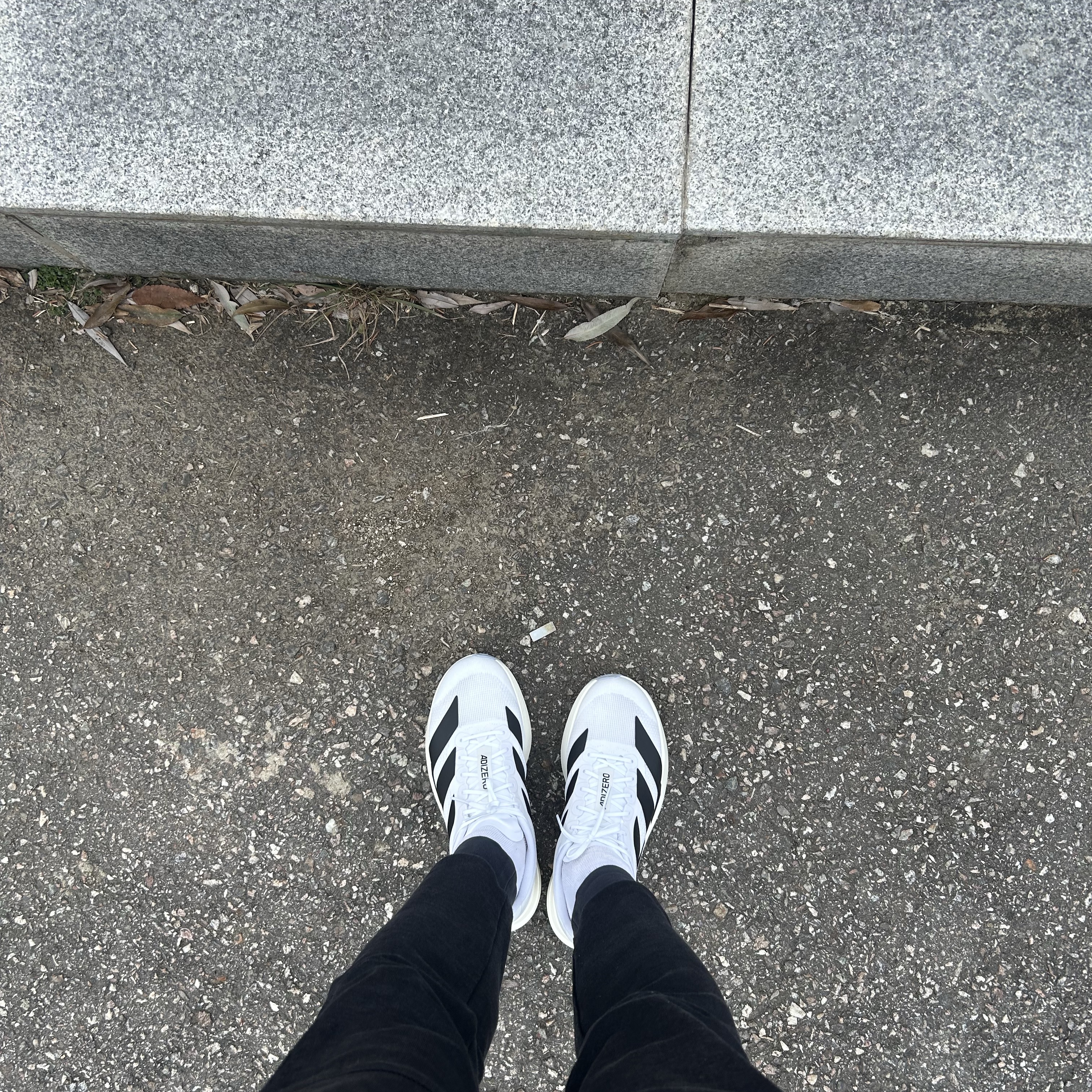 Adidas Adizero EVO SL Cloud White Core Black 착용 스타일