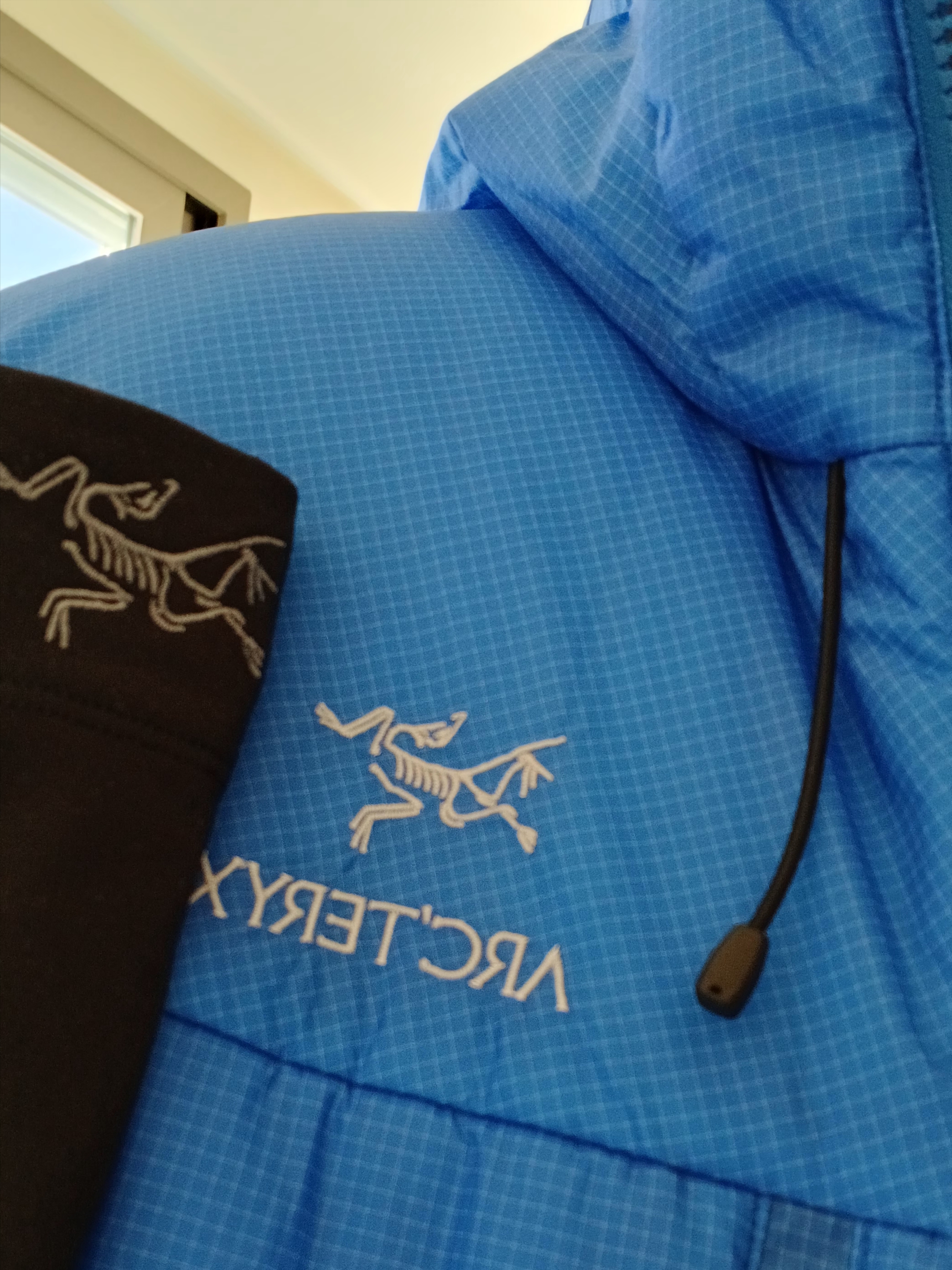 Arc'teryx Rho Neck Gaiter Long Black, Arc'teryx Nuclei SV Parka  LT Vitality 착용 스타일 - 2