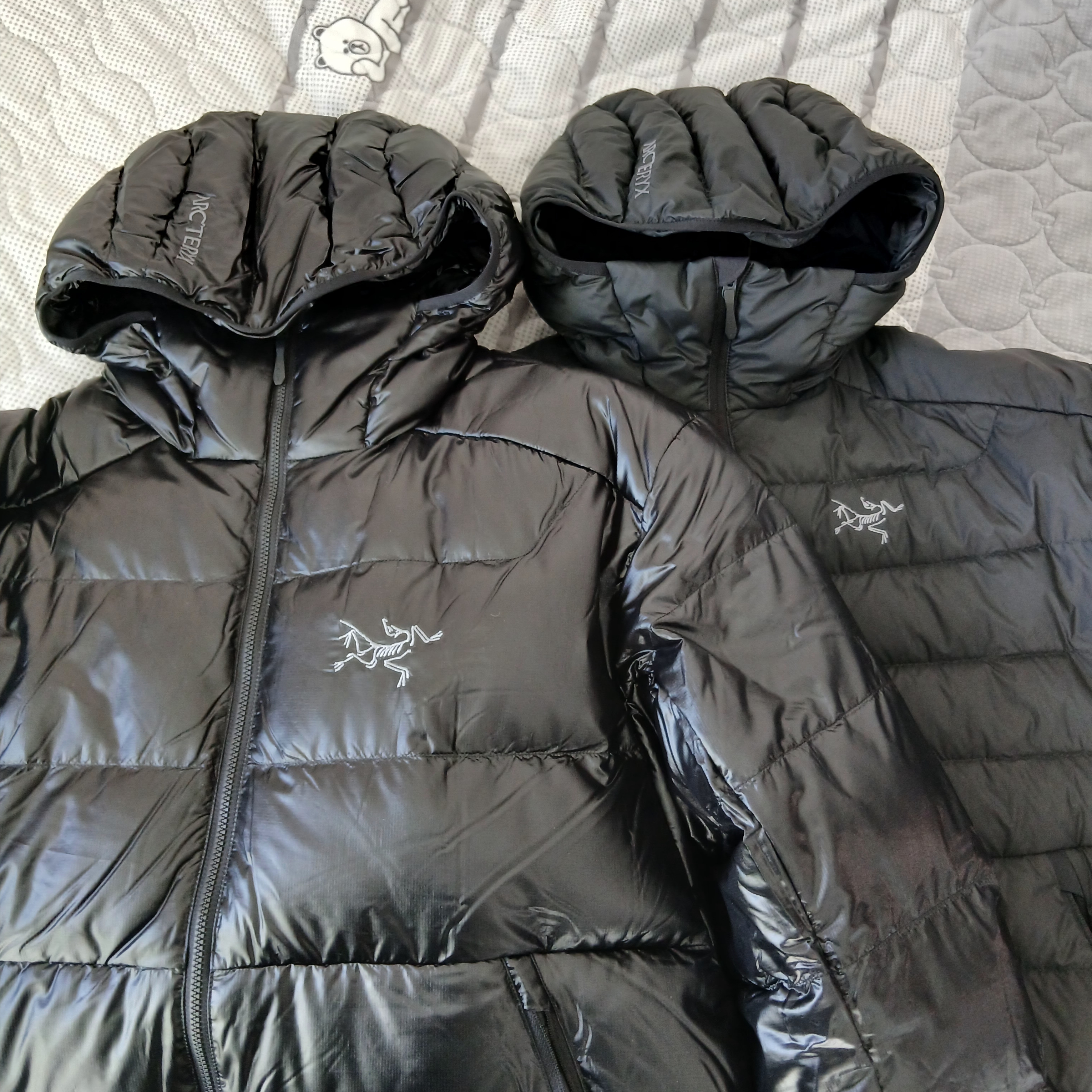 Arc'teryx Cerium Hoody Black, Arc'teryx Cerium Hoody Black 착용 스타일 - 1