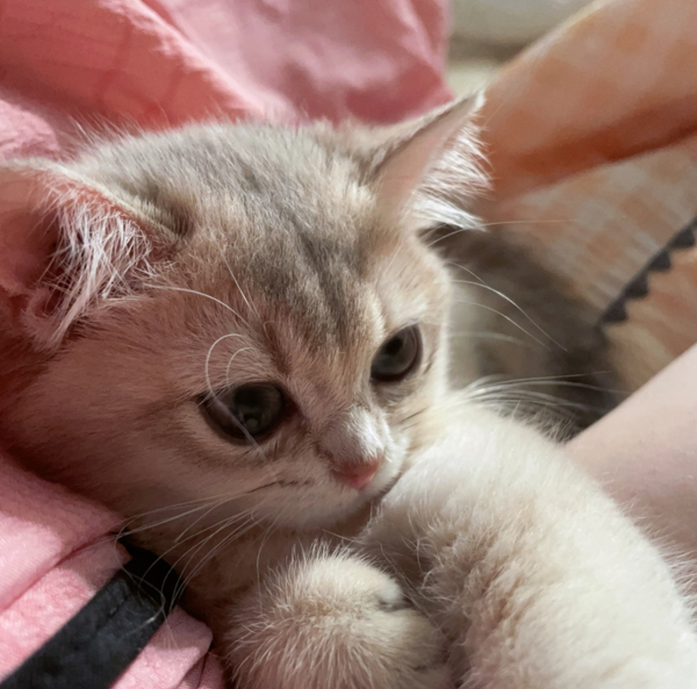 관심 유저 프로필 이미지