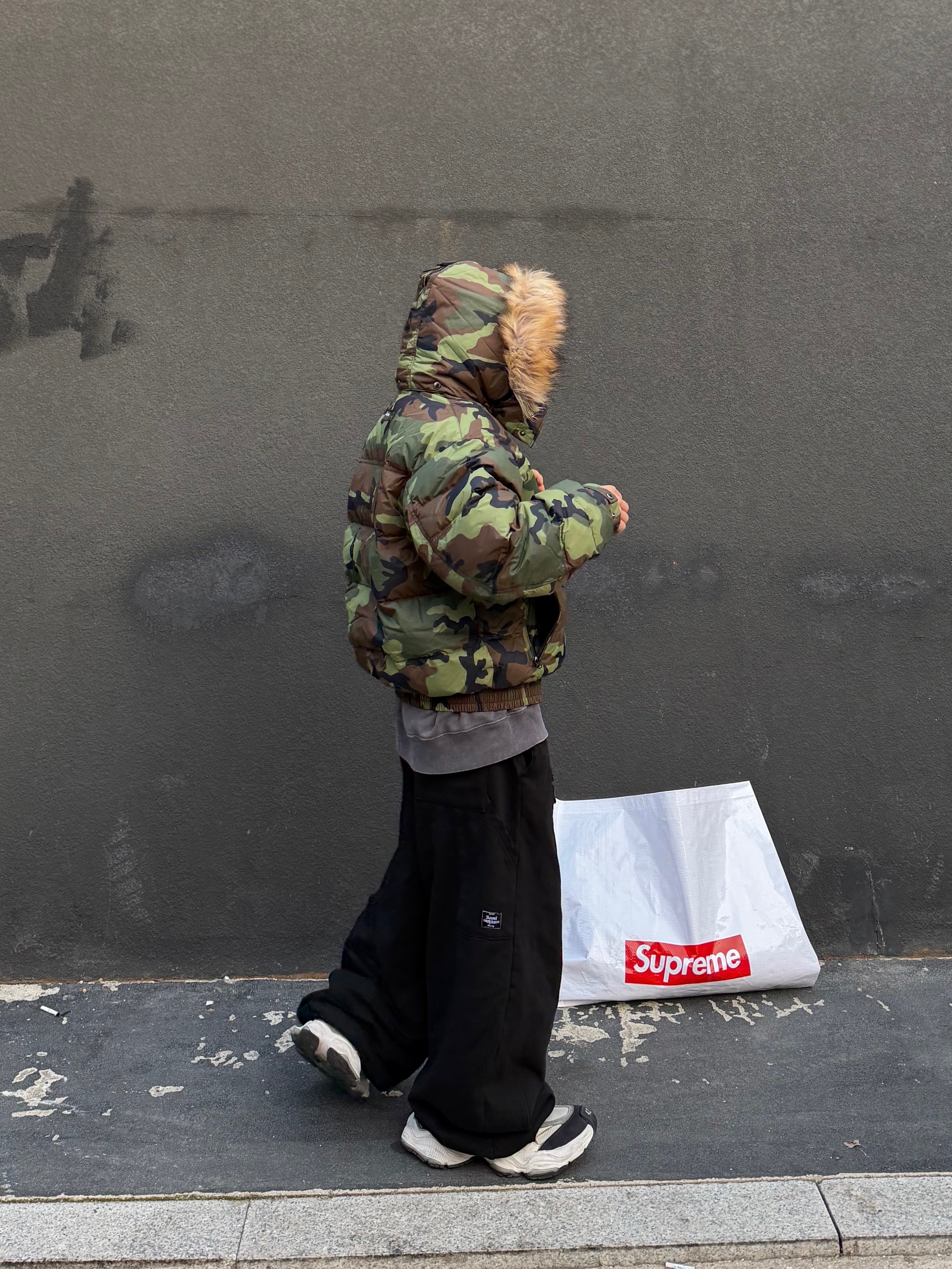 Supreme Facemask 700-Fill Down Puffer Jacket Woodland Camo - 25FW, Balenciaga Cargo Sneakers White Grey 착용 스타일 - 6