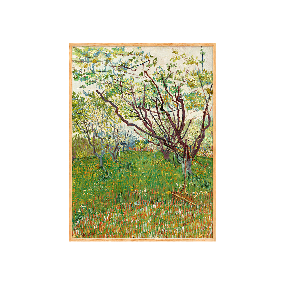 ARTBMFP0017 Print Bakery Vincent van Gogh (Dutch, 1853-1890) , The Flowering Orchard (1888)