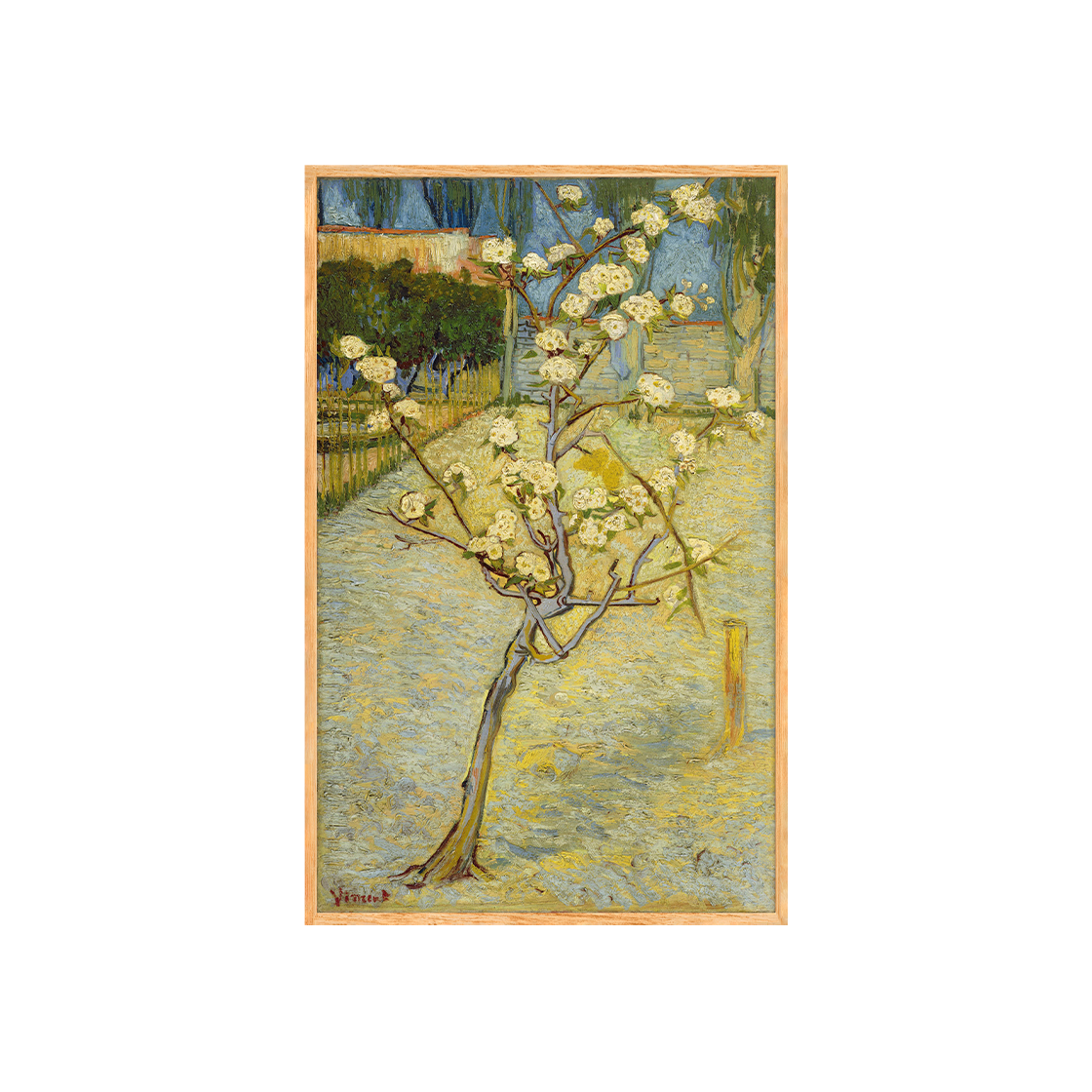 [3% 적립] 프린트베이커리 빈센트 반 고흐, 꽃이 핀 작은 배나무([3% 적립] Print Bakery  Vincent van Gogh, Small pear tree in blossom (1888))