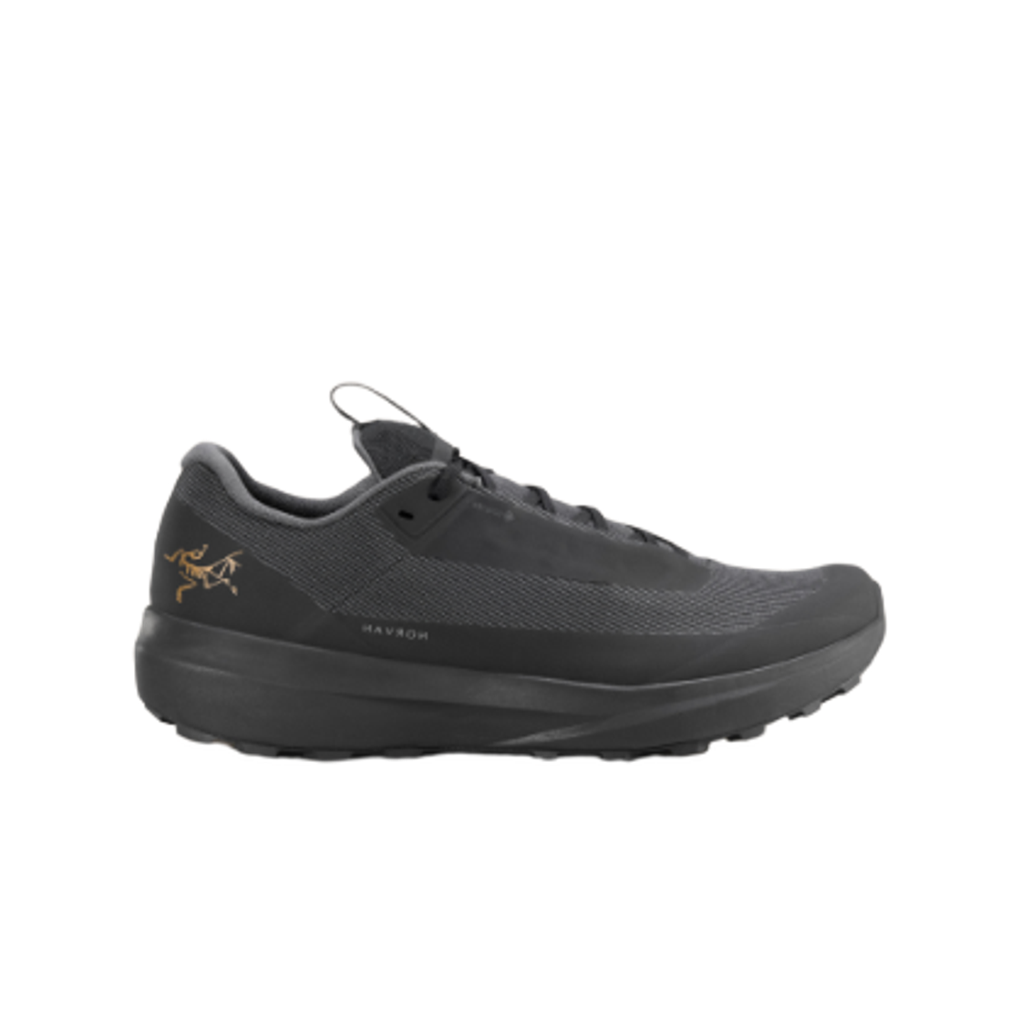 (W) 아크테릭스 노반 LD 4 고어텍스 블랙 블랙((W) Arc'teryx Norvan LD 4 GTX Black Black)