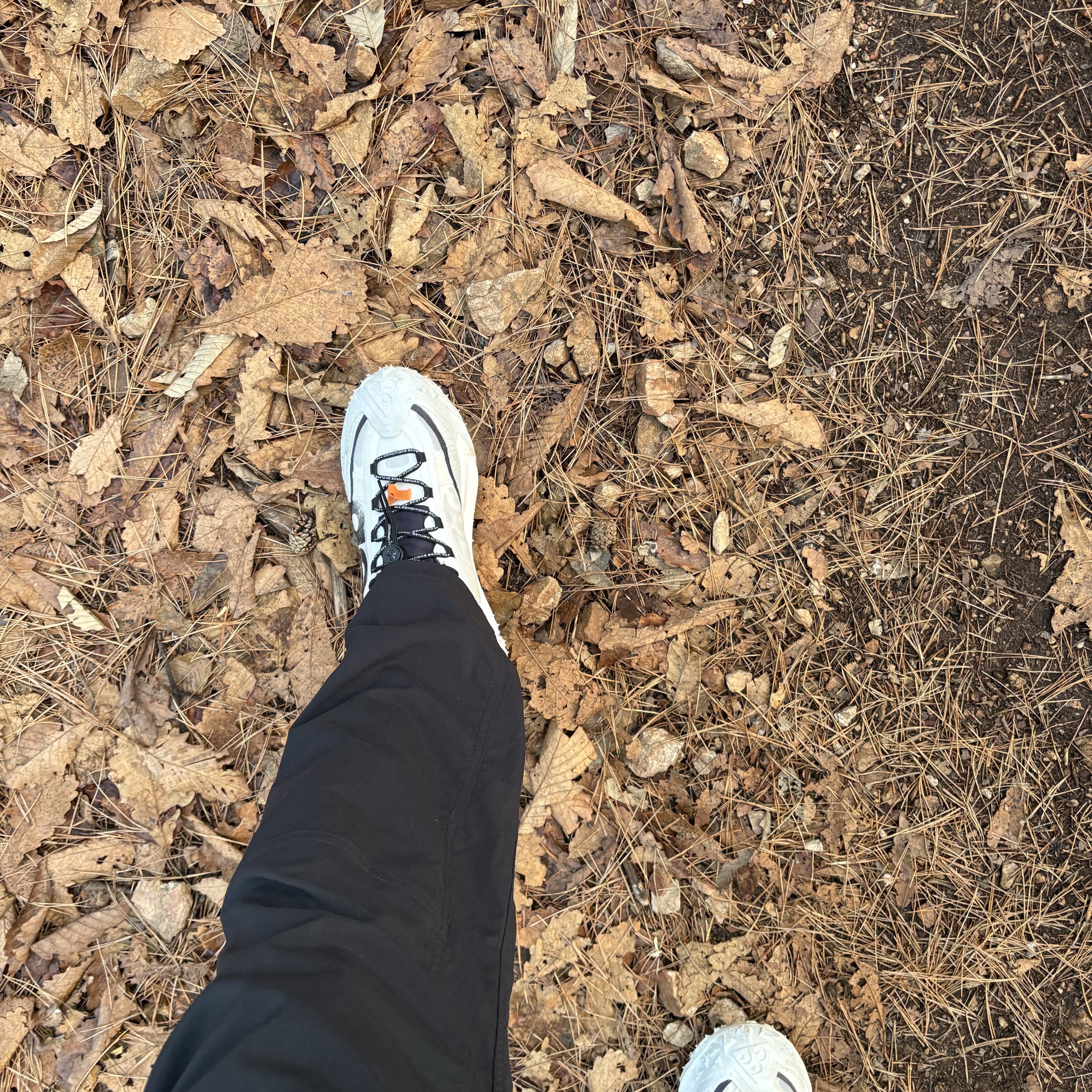 Nike ACG Mountain Fly 2 Low Summit White and Bright Mandarin, Nike ACG UV Hiking Pants Black - Asia 착용 스타일