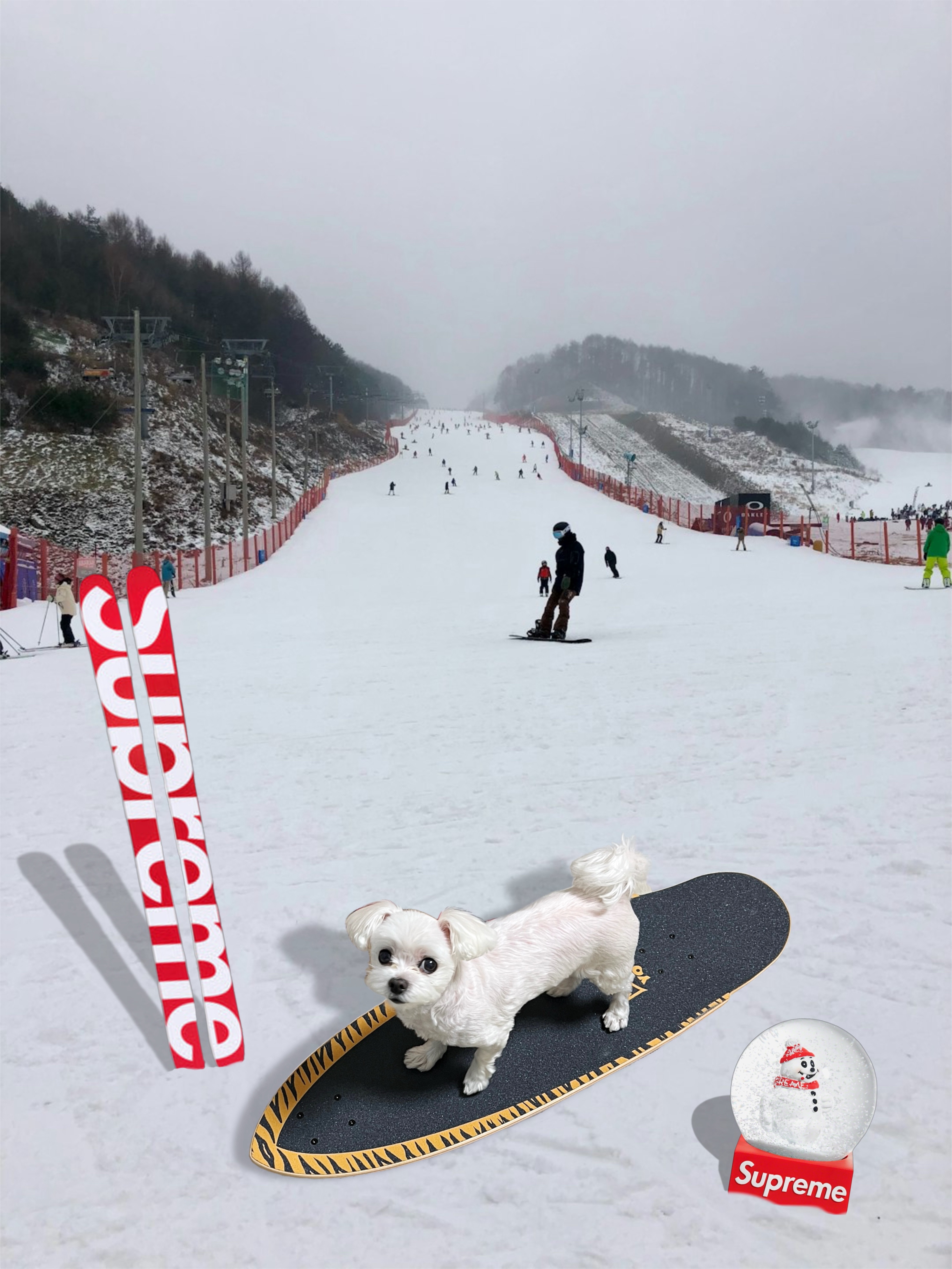 Supreme x Volkl Skis Red - 25FW, Supreme Snowman Snowglobe Red 착용 스타일