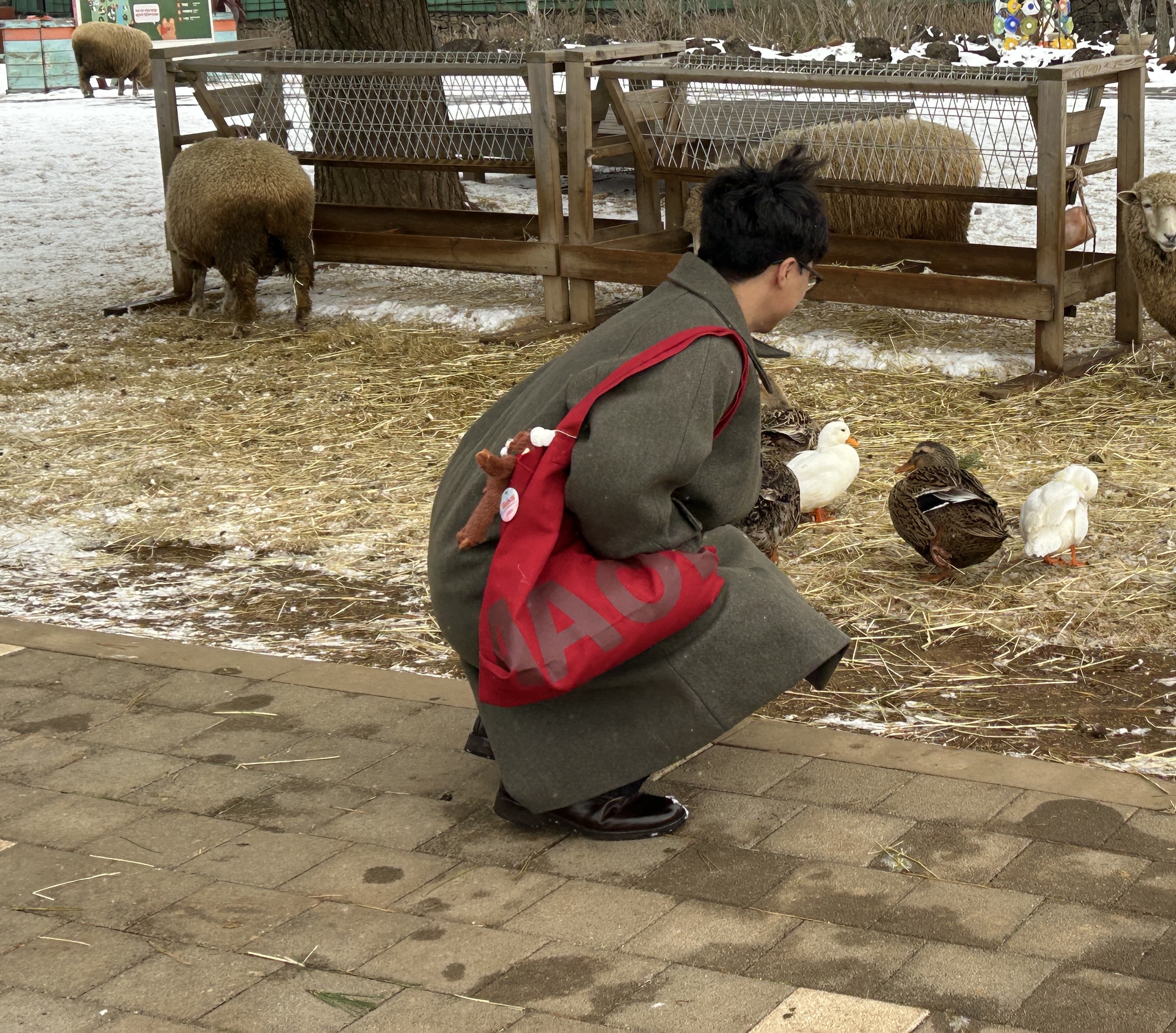 Outstanding Mountain Down Parka Olive Green, Kinchi Maryam Brutal - 649 (a) Brown 착용 스타일 - 6