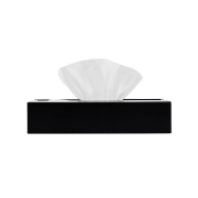GBH HOME Stainless Steel Tissue Case Black