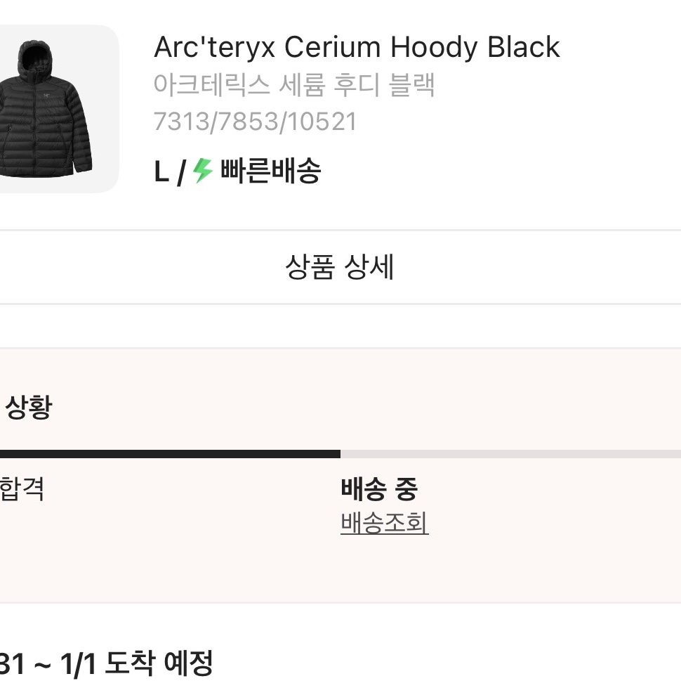 Arc'teryx Cerium Hoody Black 착용 스타일