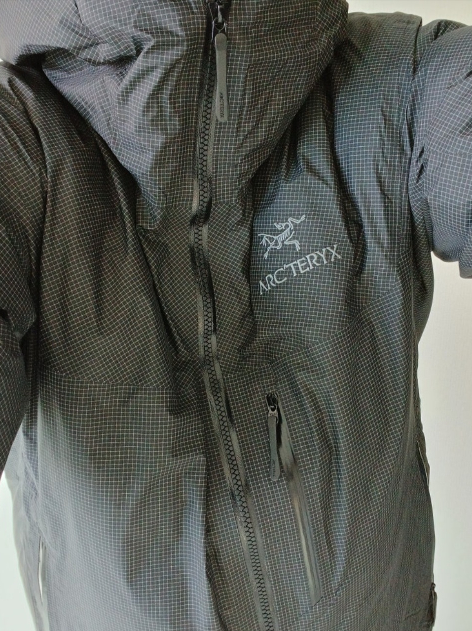 Arc'teryx Alpha Lightweight Parka Black, Arc'teryx Alpha Lightweight Parka Black 착용 스타일 - 1