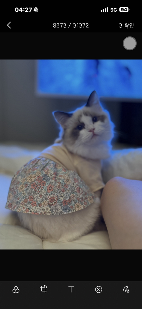 KREAM 프로필 이미지