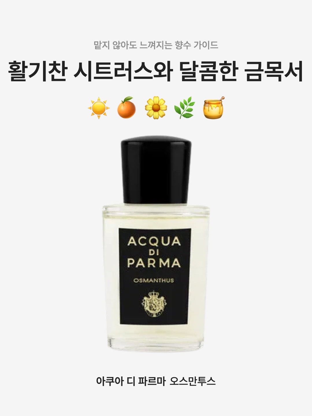 아쿠아 디 파르마 오스만투스 오 드 퍼퓸 20ml | Acqua Di Parma | KREAM