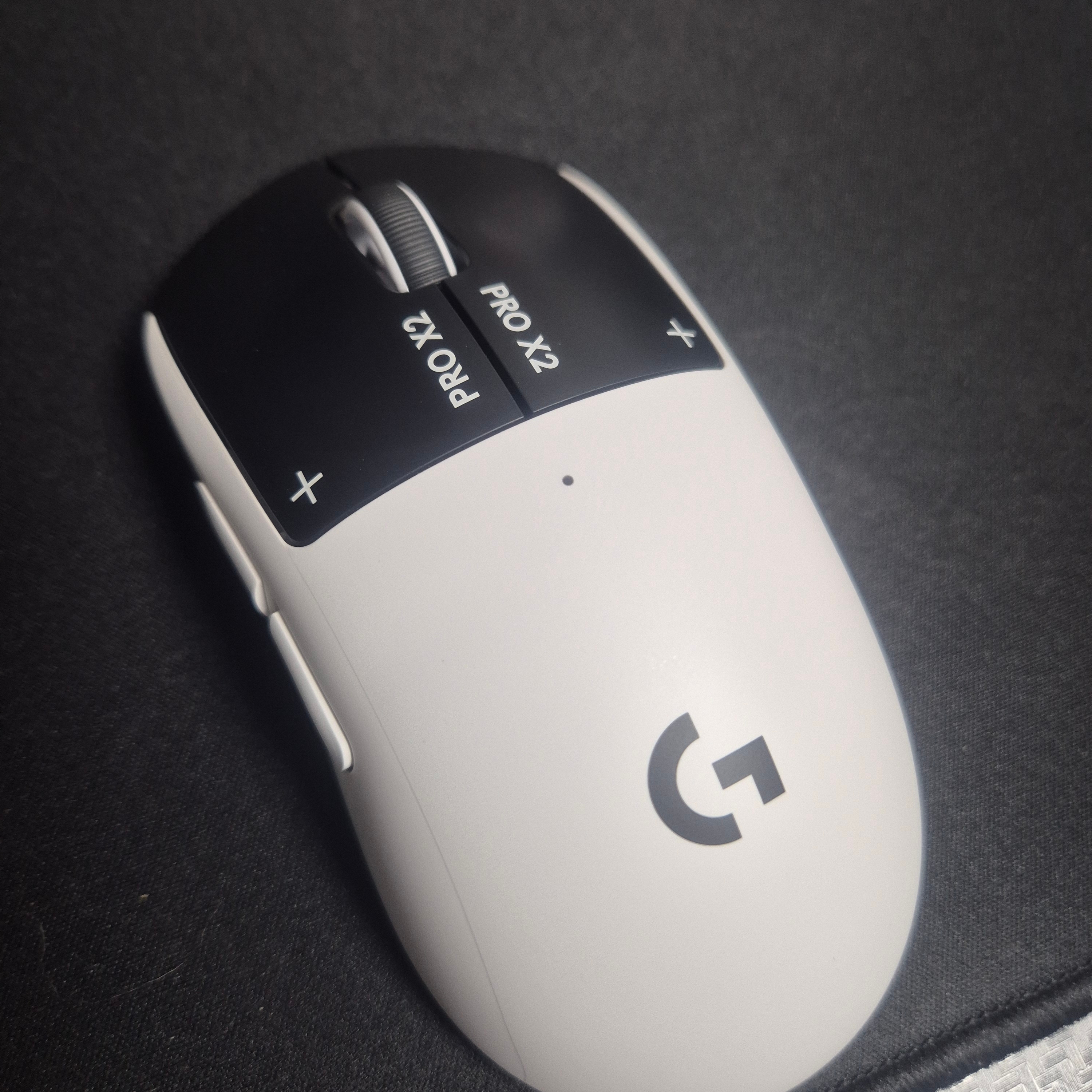 Logitech G Pro X 2 Superstrike Wireless Gaming Mouse Silver Black (Korean Ver.) 착용 스타일