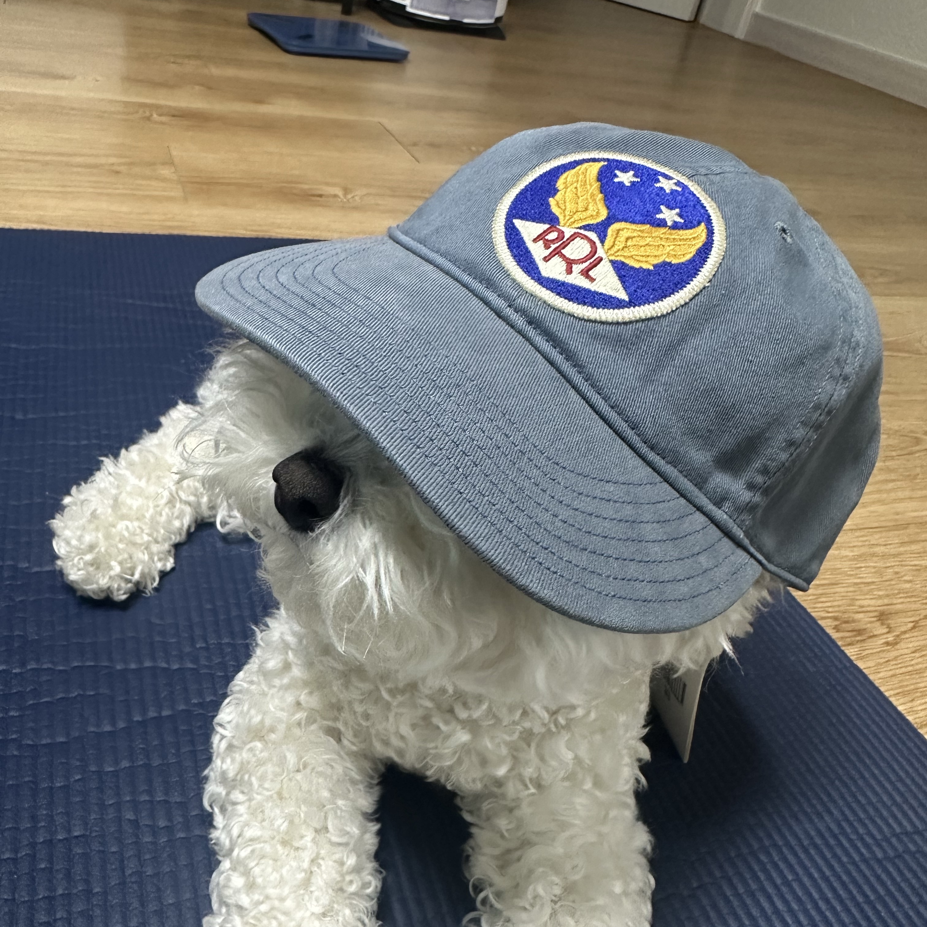 Double RL Garment Dyeing Twill Ball Cap Blue 착용 스타일 - 2