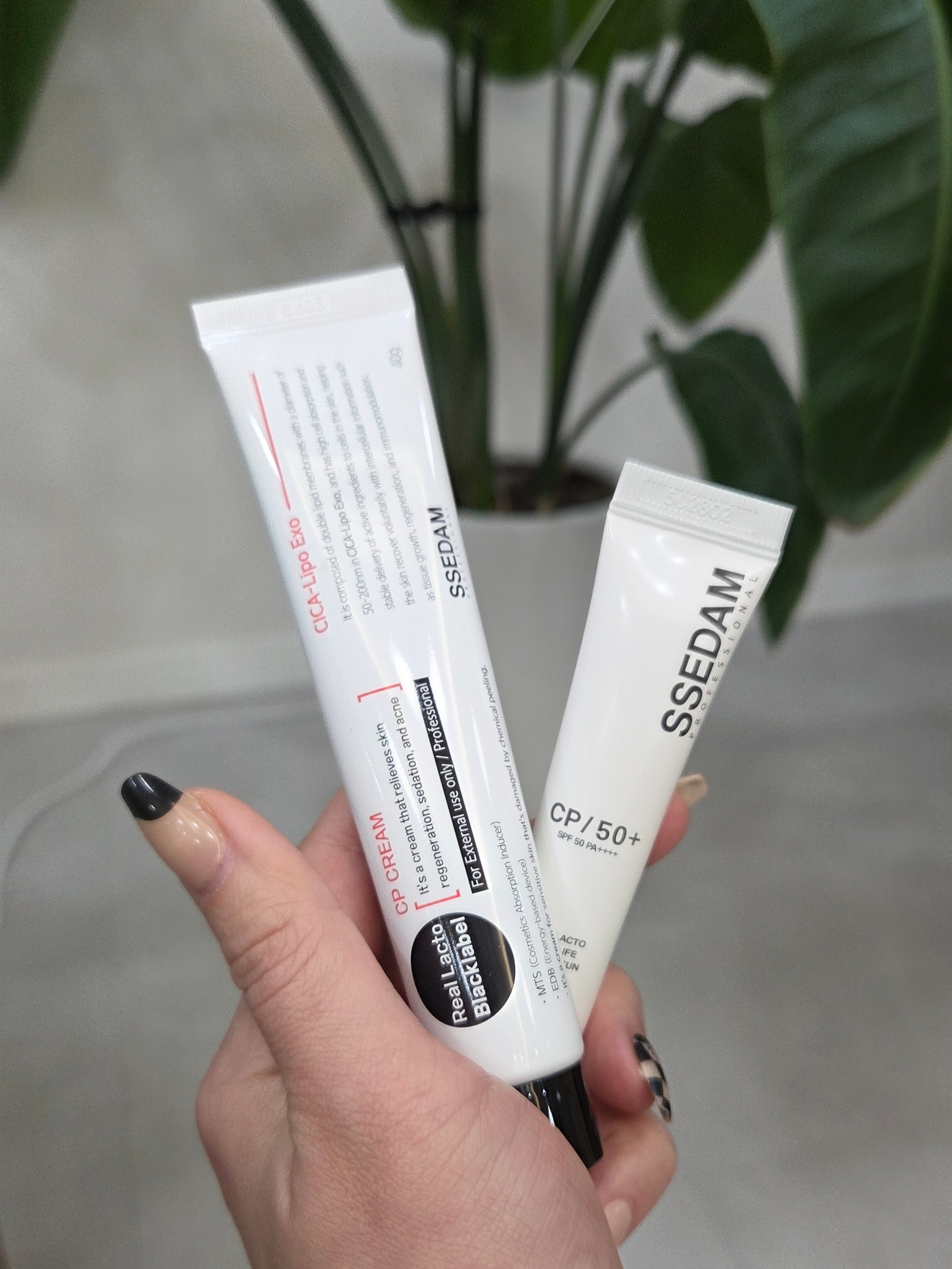 [KREAM단독] SSEDAM  Reallacto Blacklabel CP Cream 착용 스타일