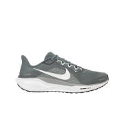 Nike Air Zoom Pegasus 41 Cool Grey Wolf Grey