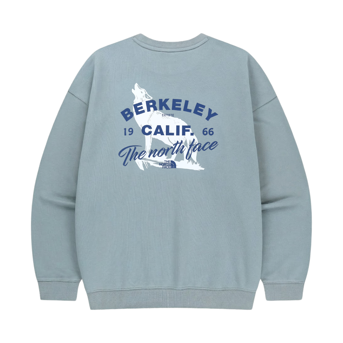 NM5MS06K The North Face White Label Berkeley Sweatshirts Blue Gray - 26SS