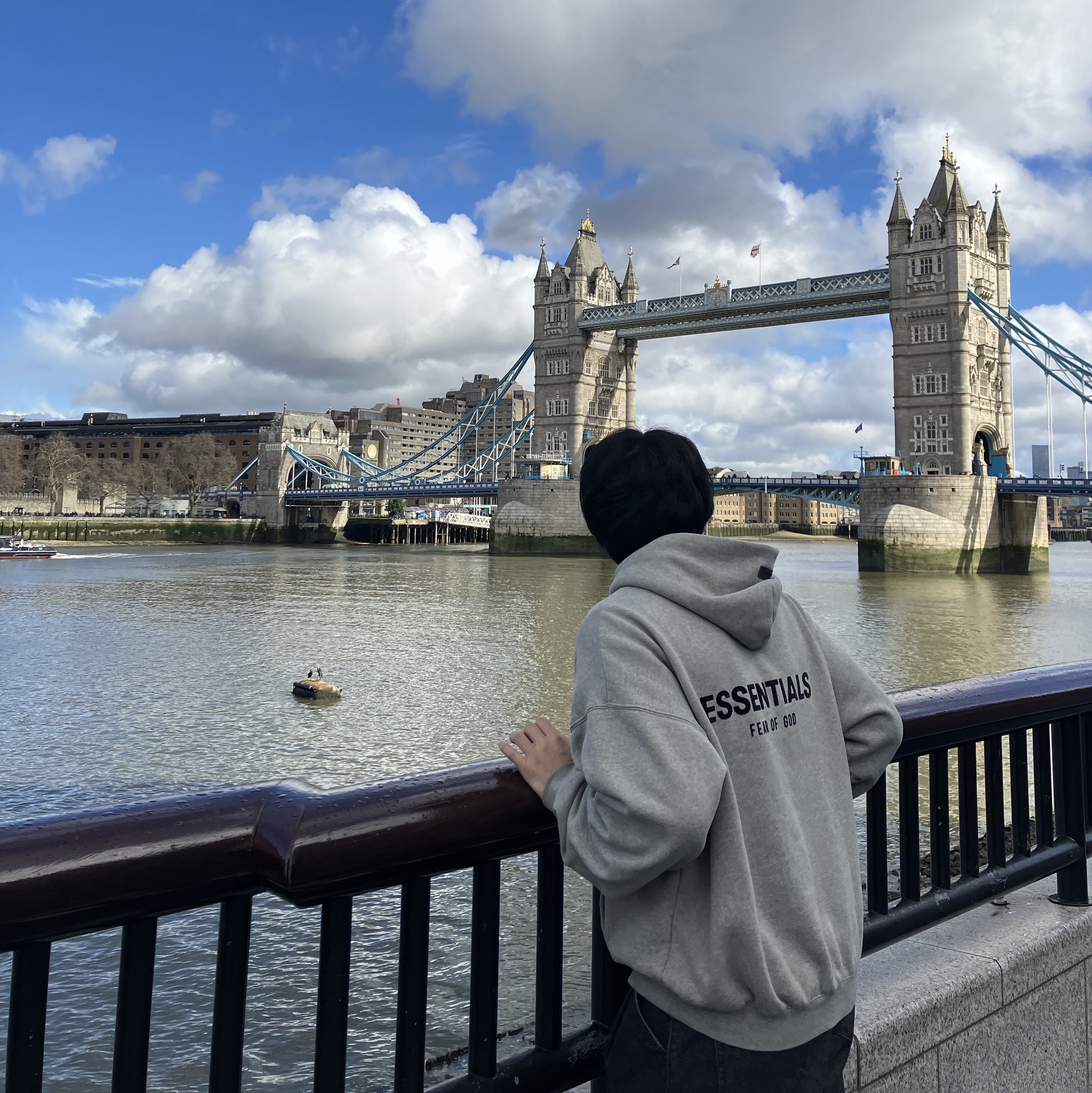 Essentials Fleece Hoodie Light Heather Grey - 24FW 착용 스타일