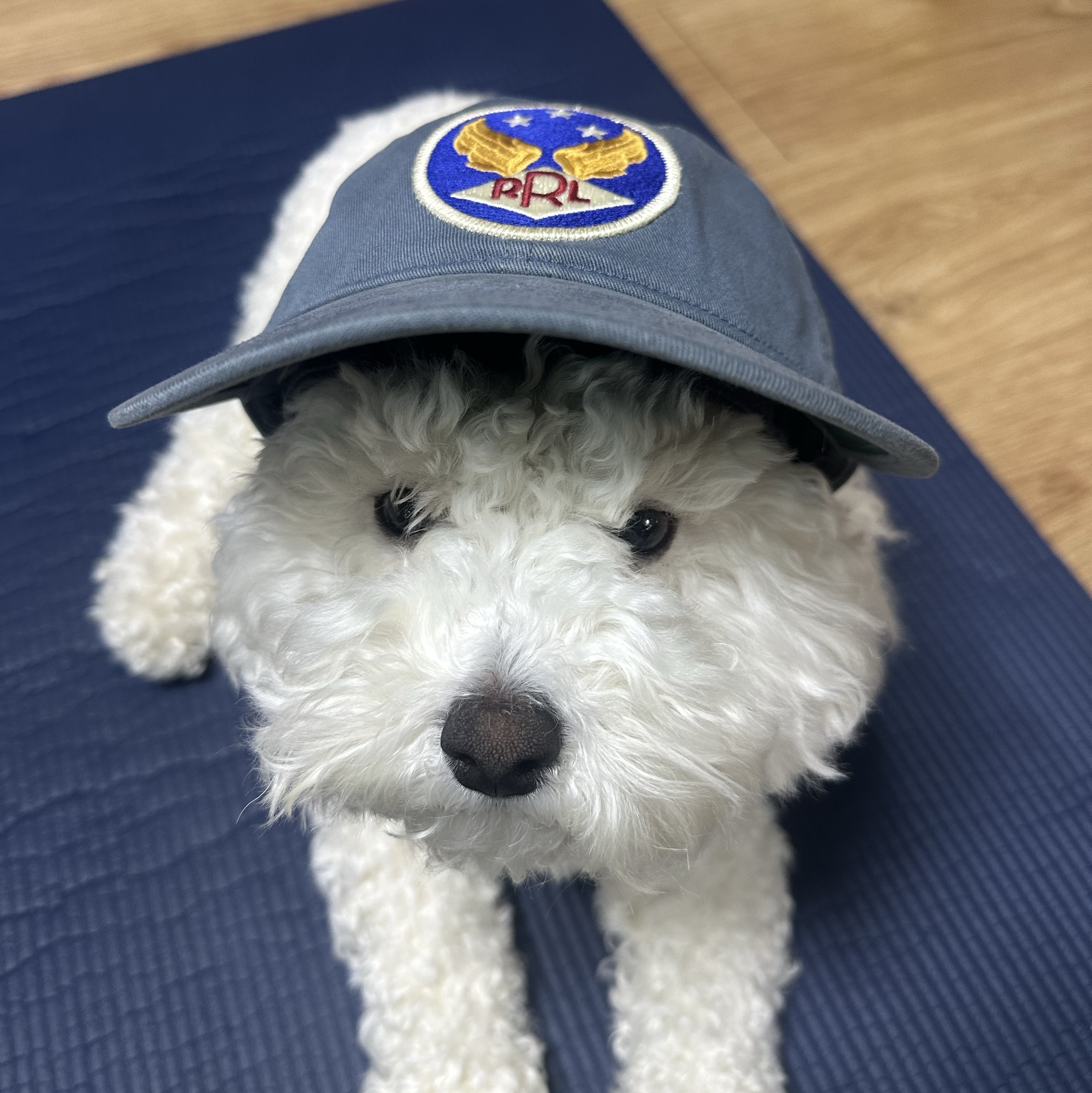 Double RL Garment Dyeing Twill Ball Cap Blue 착용 스타일 - 1