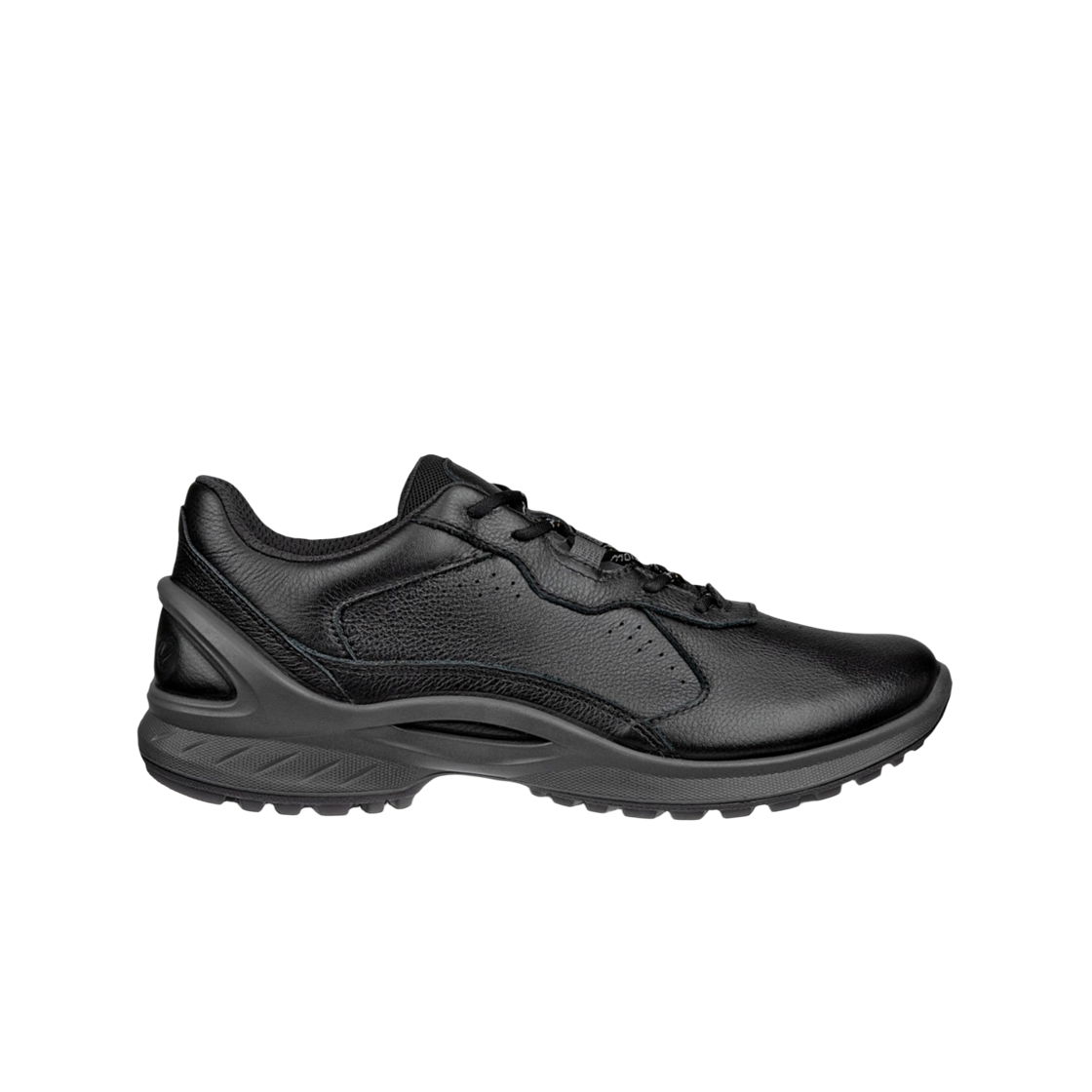 (W) 에코 바이옴 에너지 블랙((W) Ecco Biom Energi Black)