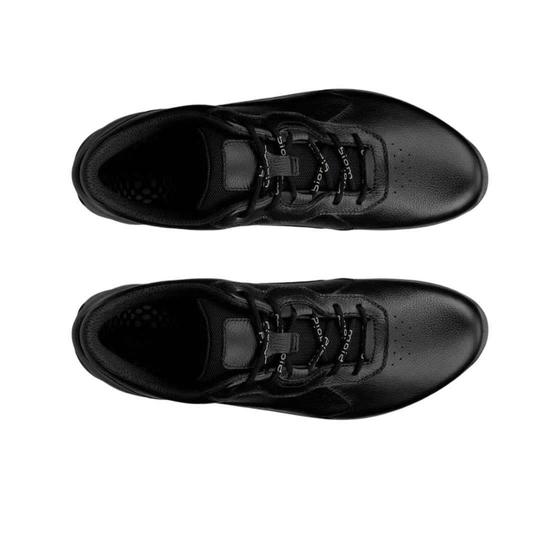 (W) 에코 바이옴 에너지 블랙((W) Ecco Biom Energi Black) - 2