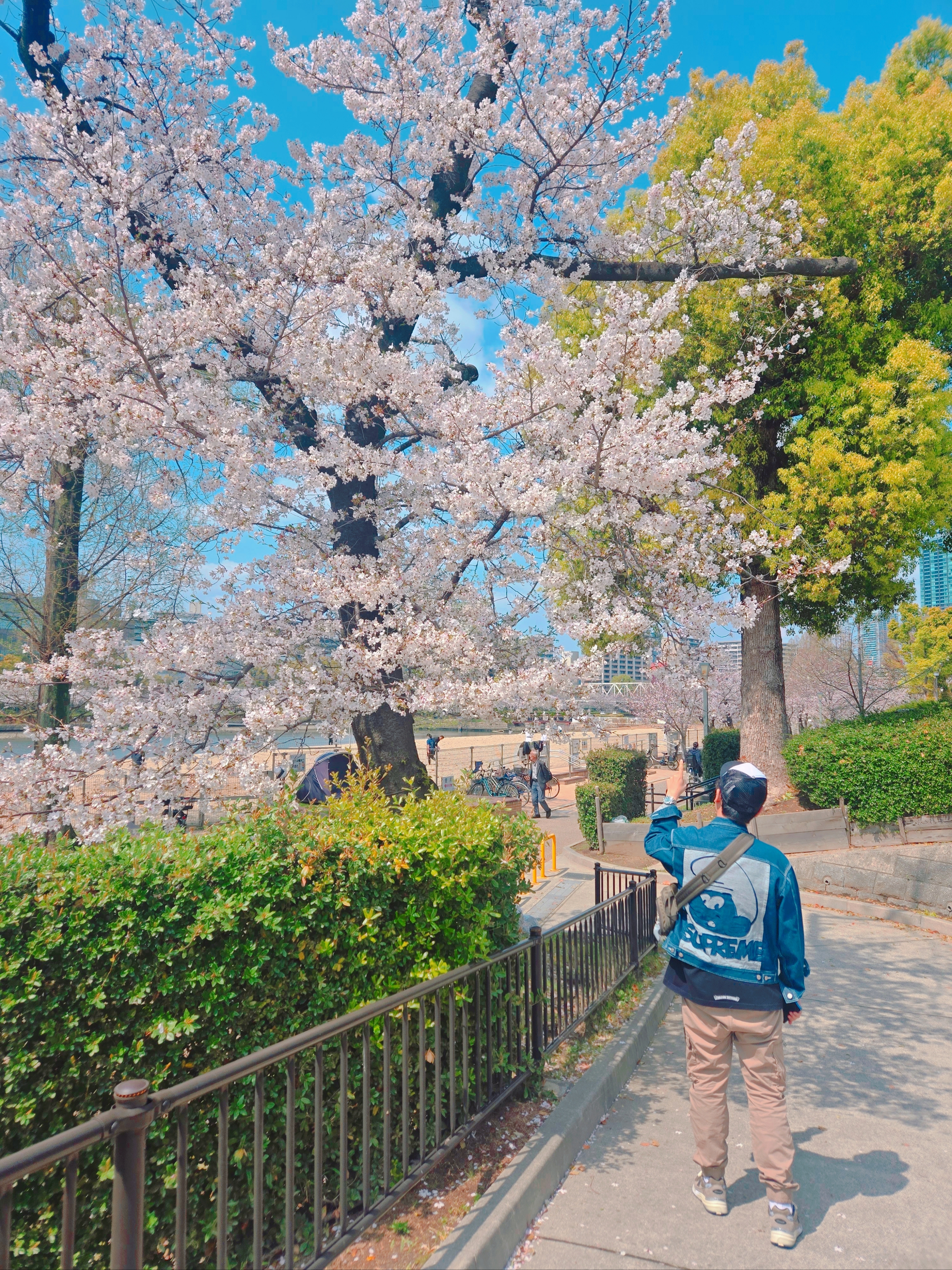 Supreme Smurfs Denim Trucker Jacket Blue - 20FW, Chrome Hearts Scroll Logo T-Shirt Black - Tokyo Exclusive 착용 스타일