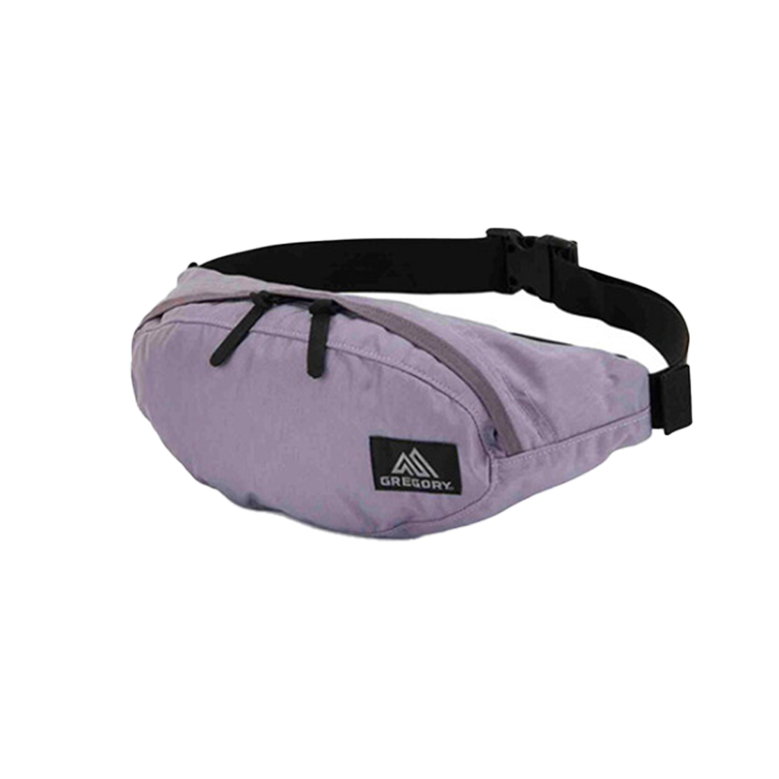그레고리 테일러너 V2 디지털 라벤더 3L 힙색(Gregory Tailrunner V2 Digital Lavender) - 1