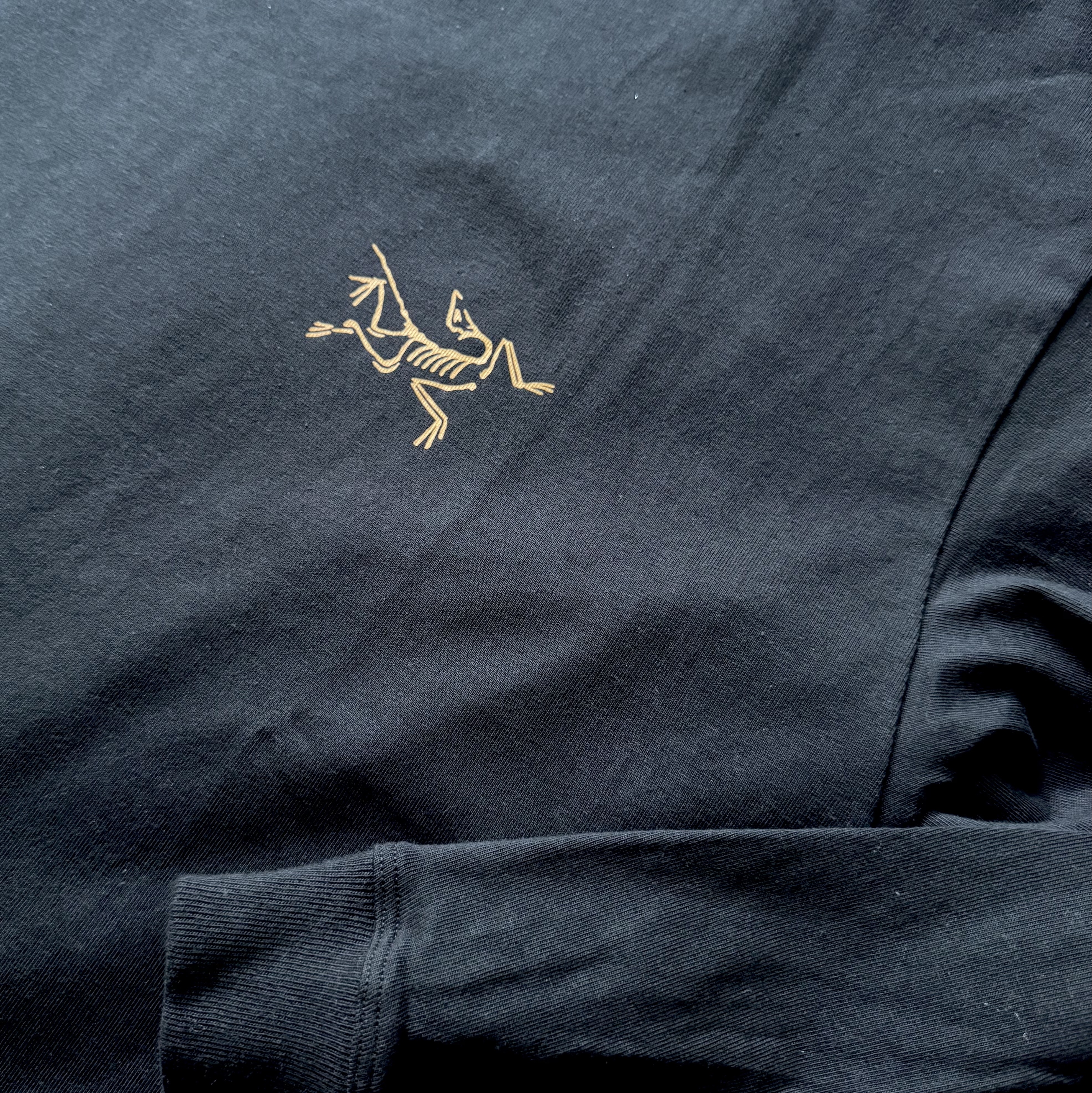 Arc'teryx Kragg Cotton LS T-Shirt 24K Black 착용 스타일