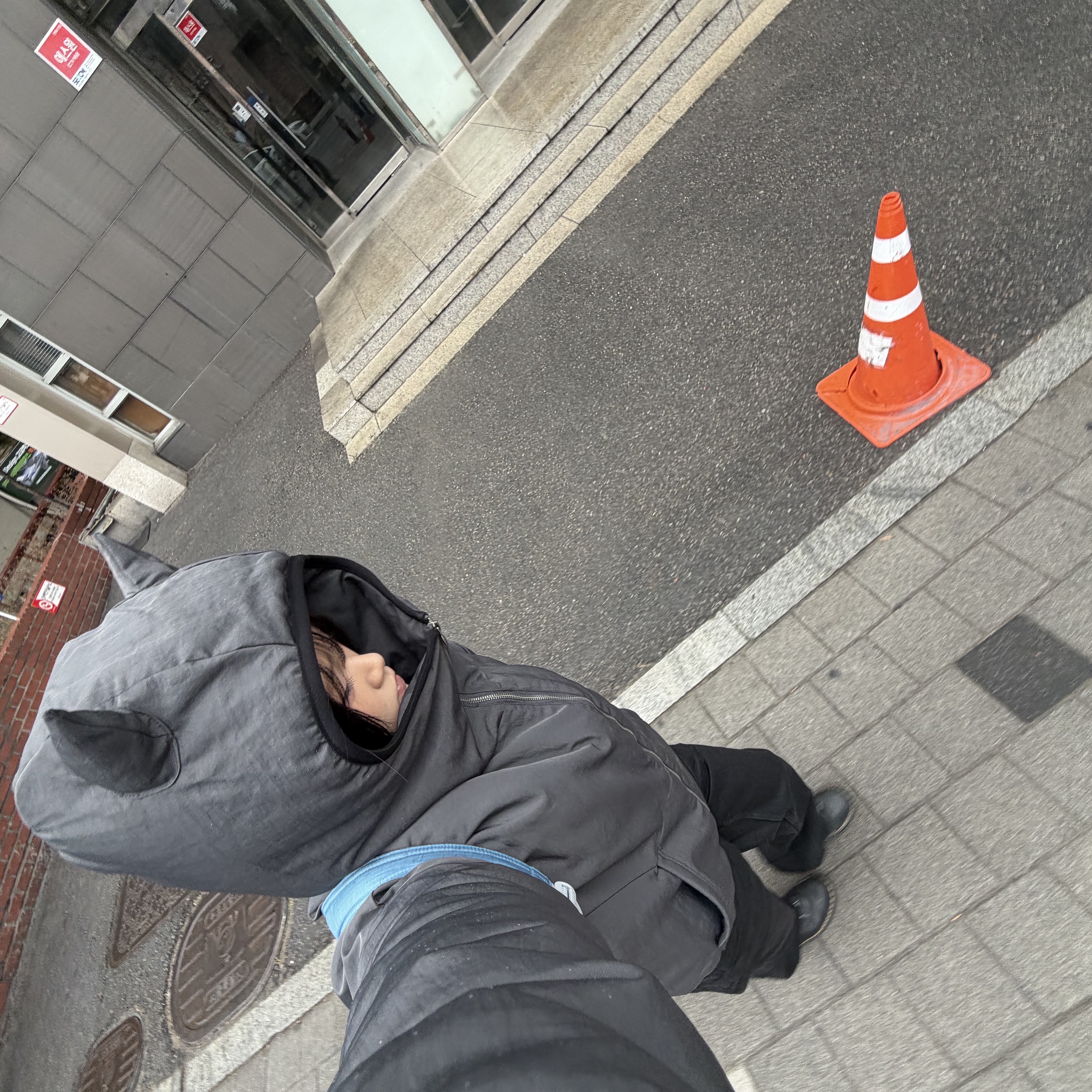 Vandy The Pink x Alpha Industries Animal Jacket Grey 착용 스타일 - 1