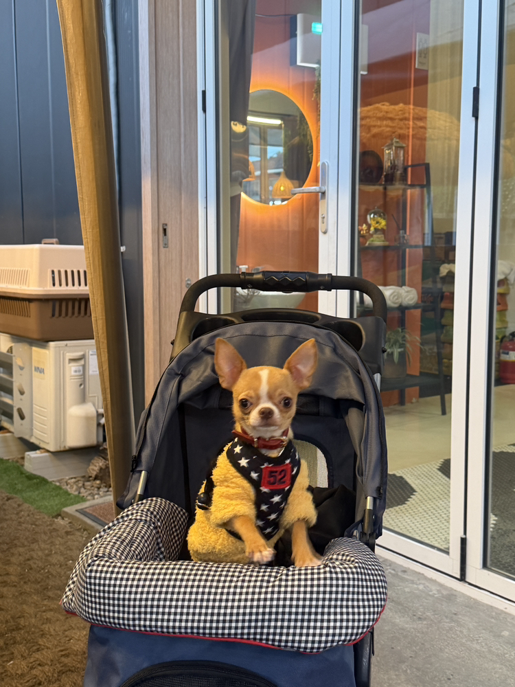 관심 유저 프로필 이미지