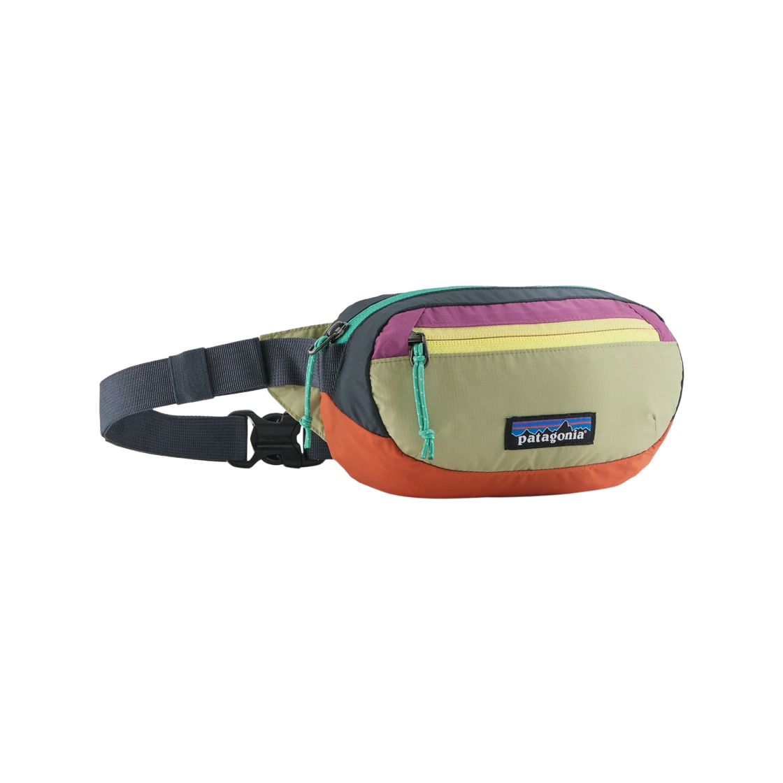 파타고니아 테라비아 미니 힙팩 1L 패치워크 검트리 그린(Patagonia Terravia Mini Hip Pack 1L Patchwork Gumtree Green) - 1
