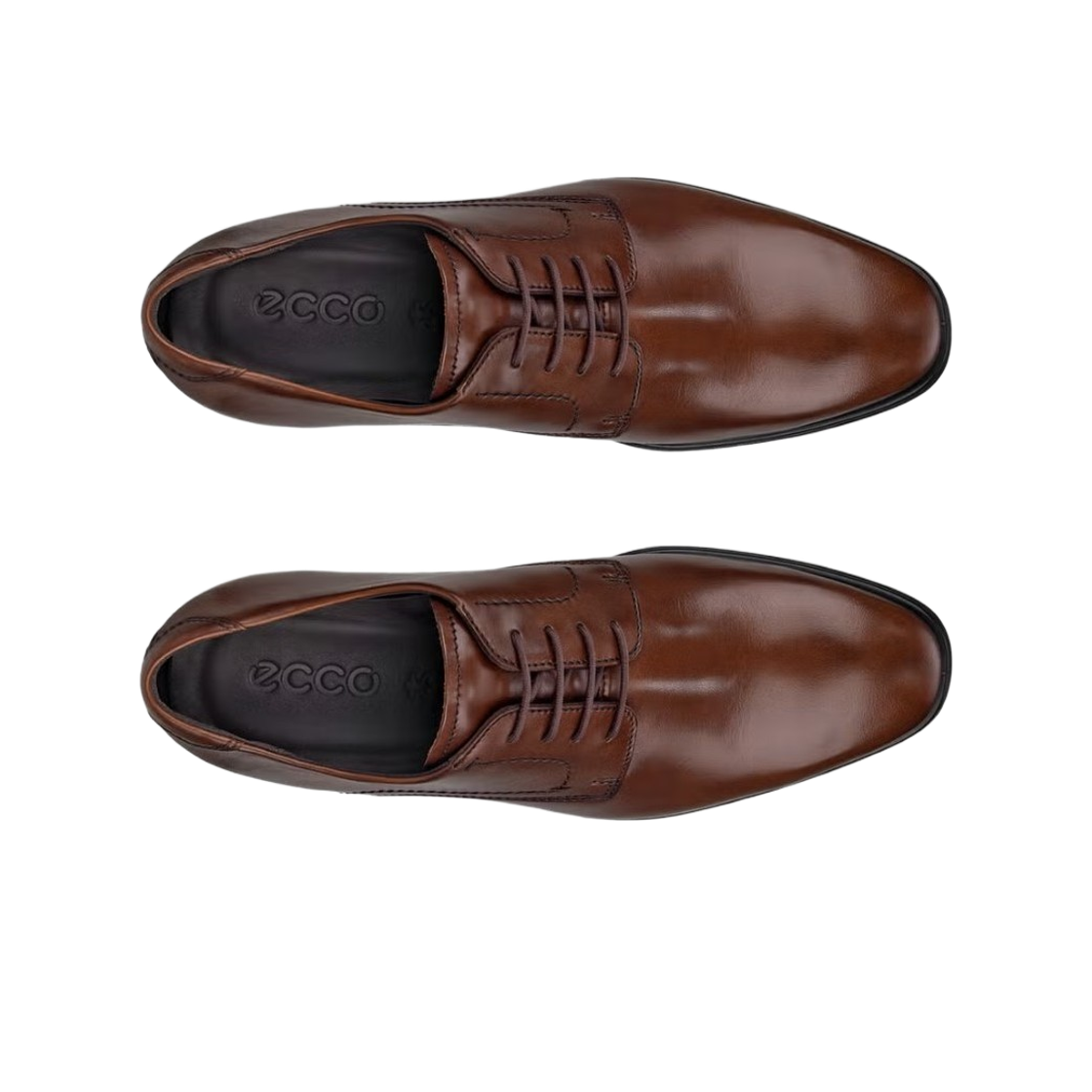 에코 멜버른 더비 슈즈 브라운(Ecco Melbourne Derby Shoes Brown) - 2