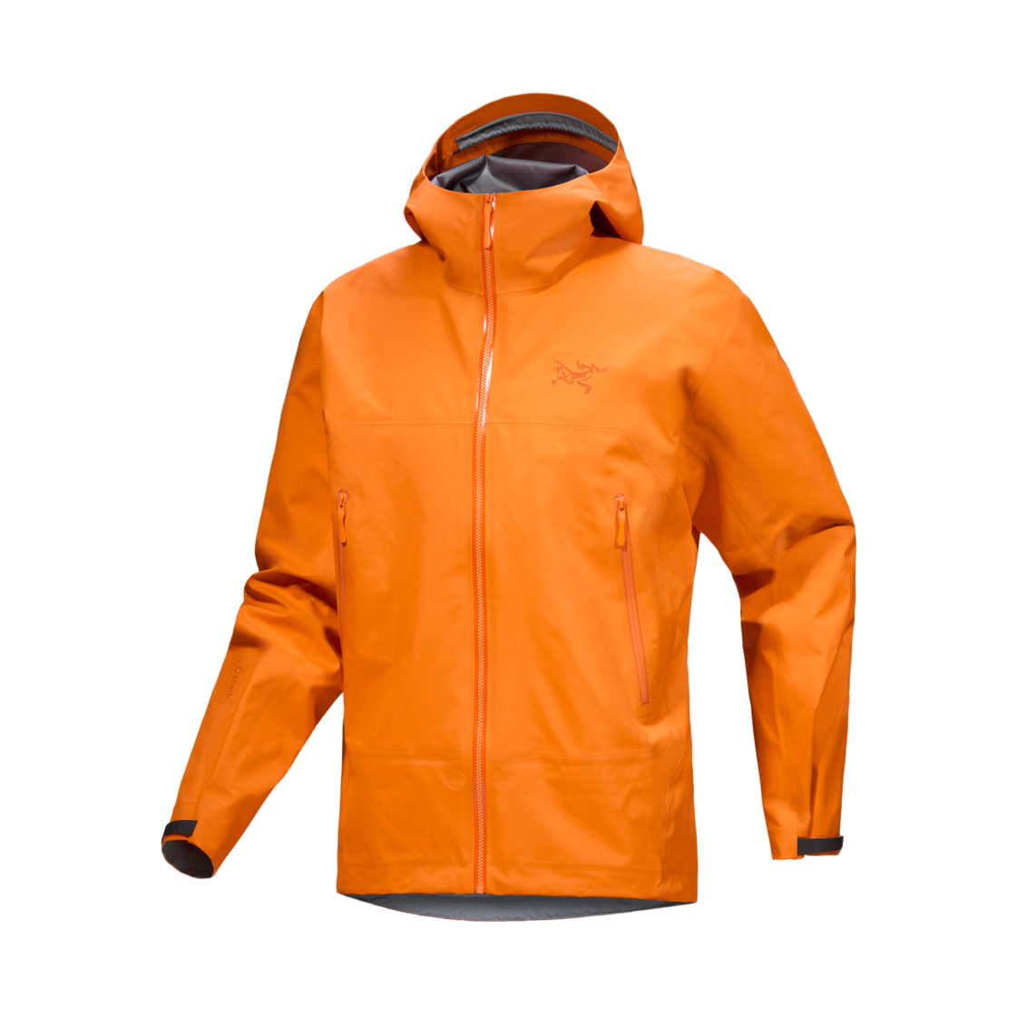 아크테릭스 베타 자켓 베르베(Arc'teryx Beta Jacket Verve) - 1