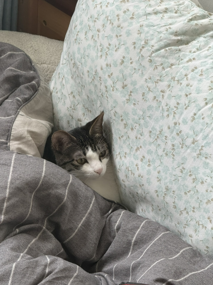 관심 유저 프로필 이미지