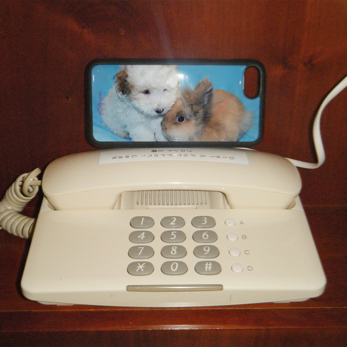 나나카세이 퍼피 & 버니 에폭시 범퍼 케이스(NANAKASEI puppy & bunny epoxy bumper case) - 2