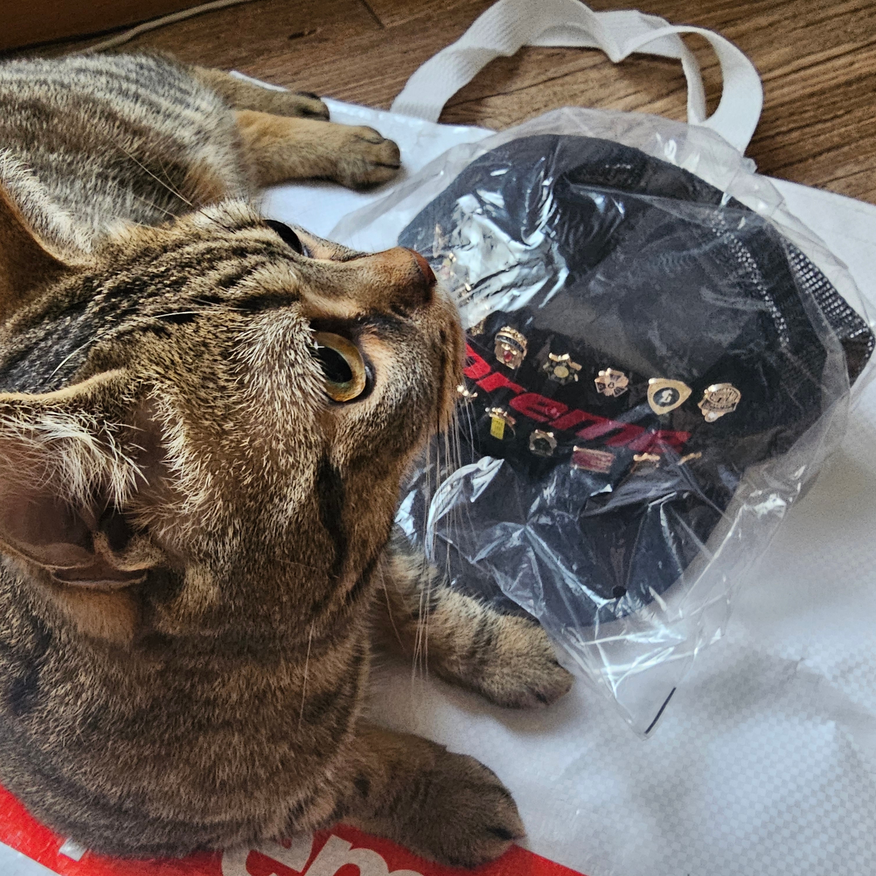 Supreme Pins Mesh Back 5-Panel Black - 26SS 착용 스타일 - 2