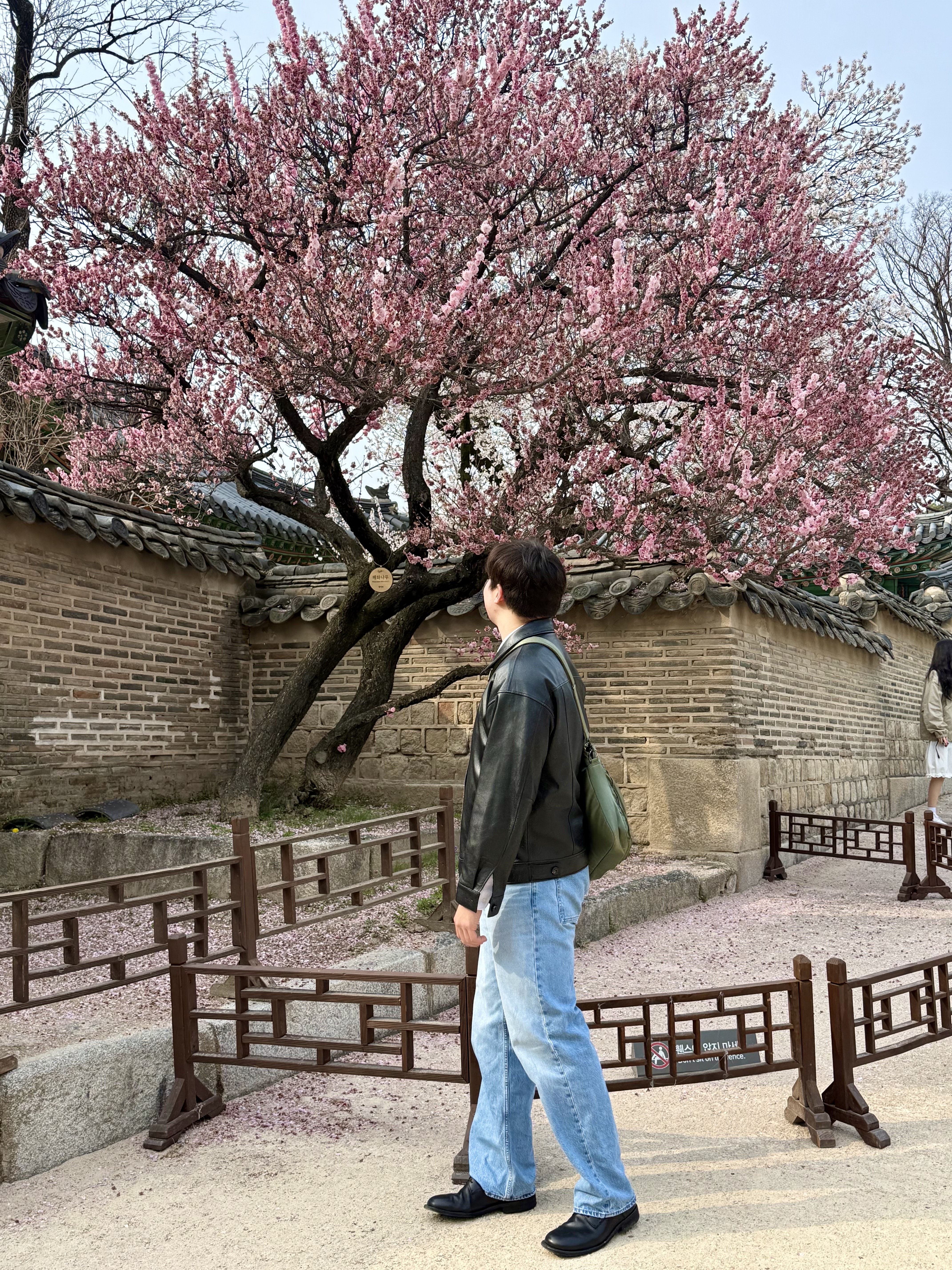 Kinchi Shower - 808 (a) Black, Uniqlo x JW Anderson Straight Jean Blue - JP 착용 스타일