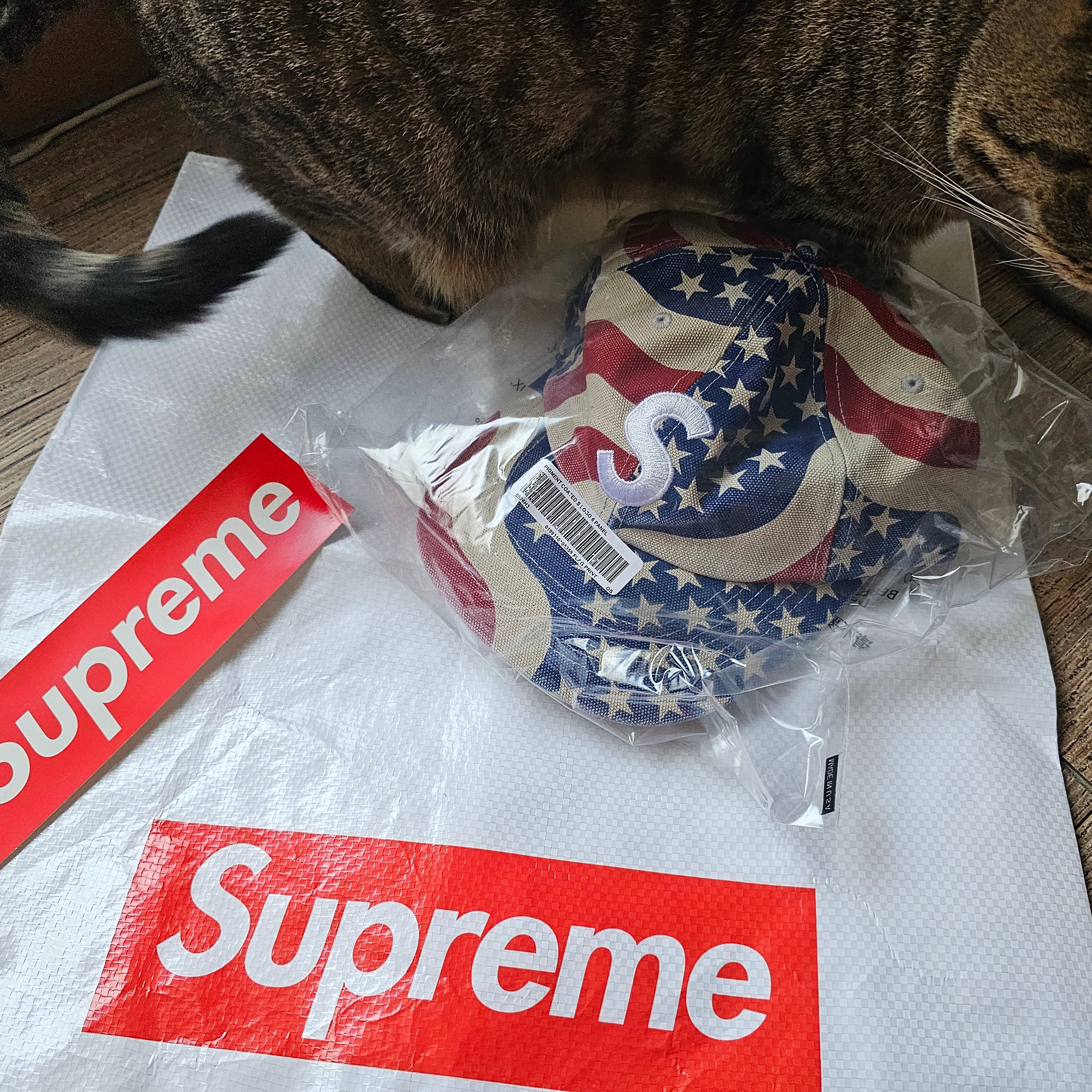 Supreme Pigment Coated S Logo 6-Panel Flag - 26SS 착용 스타일 - 3
