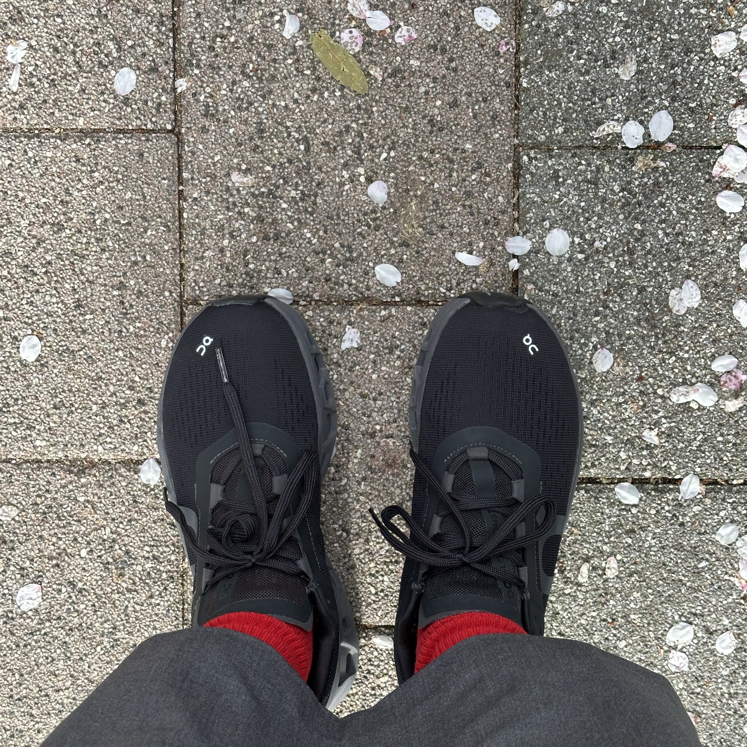 On Running Cloudmonster All Black 착용 스타일