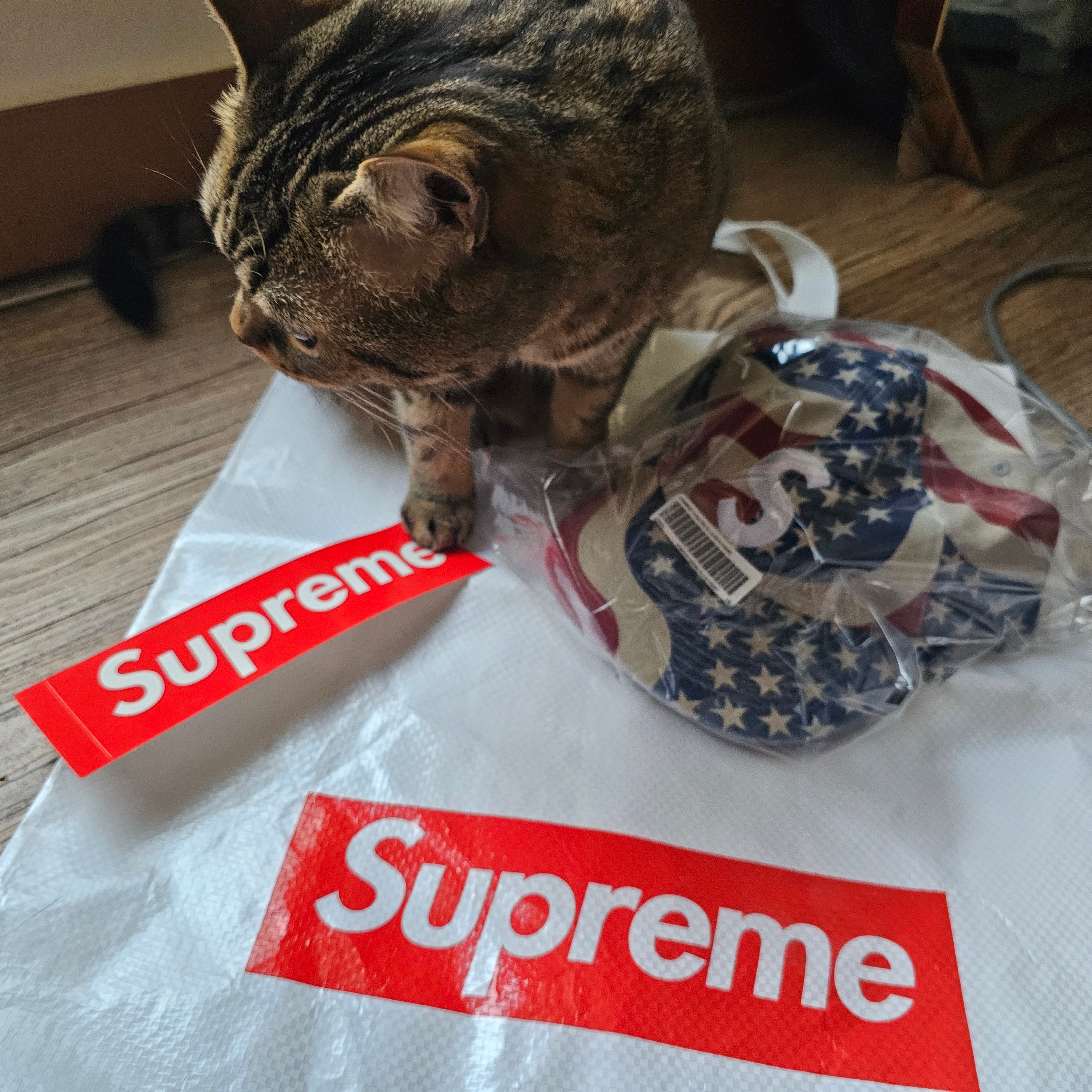 Supreme Pigment Coated S Logo 6-Panel Flag - 26SS 착용 스타일 - 6