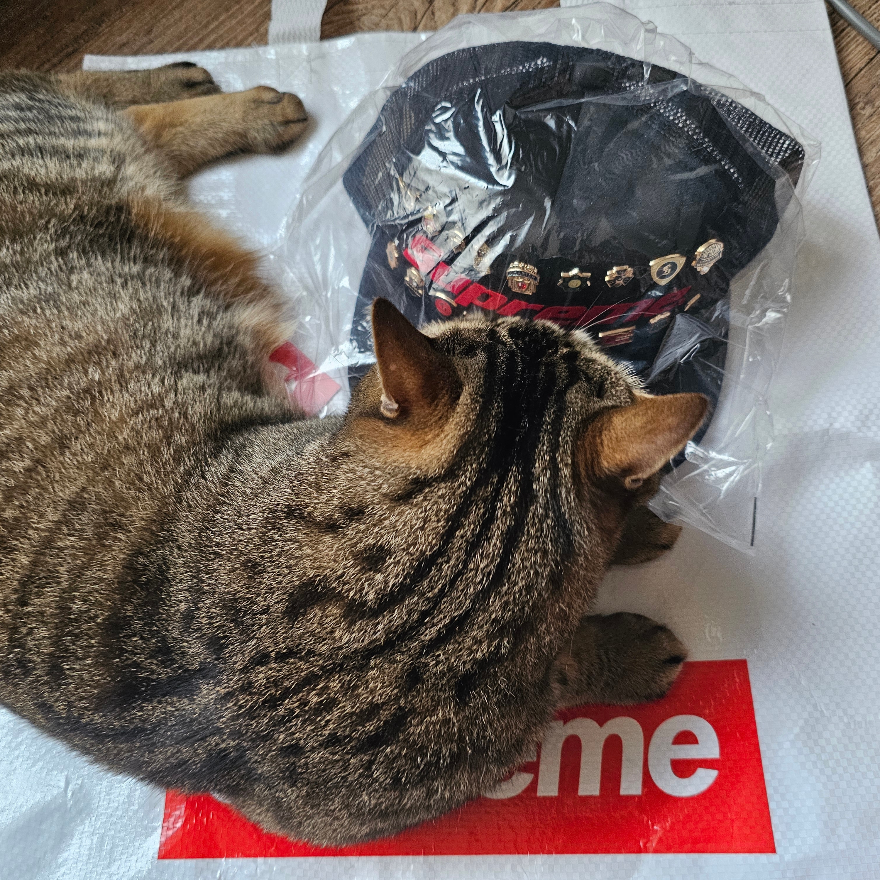 Supreme Pins Mesh Back 5-Panel Black - 26SS 착용 스타일 - 3