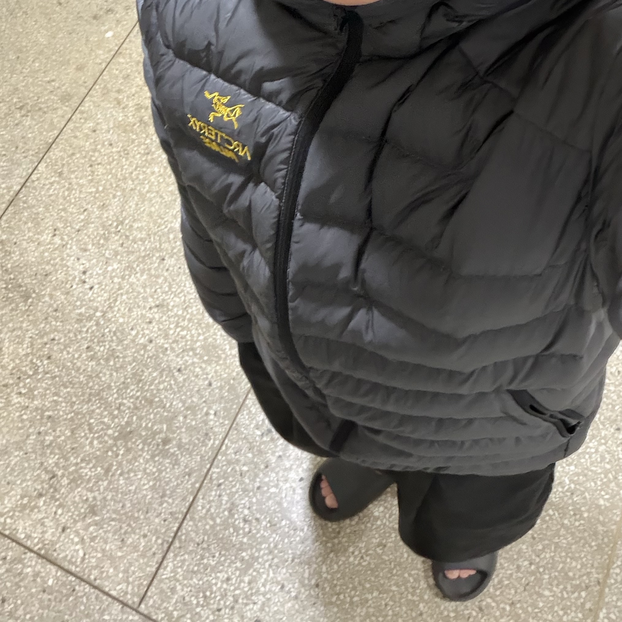 Palace x Arc'teryx Cerium LT Hoody - 20FW 착용 스타일 - 1