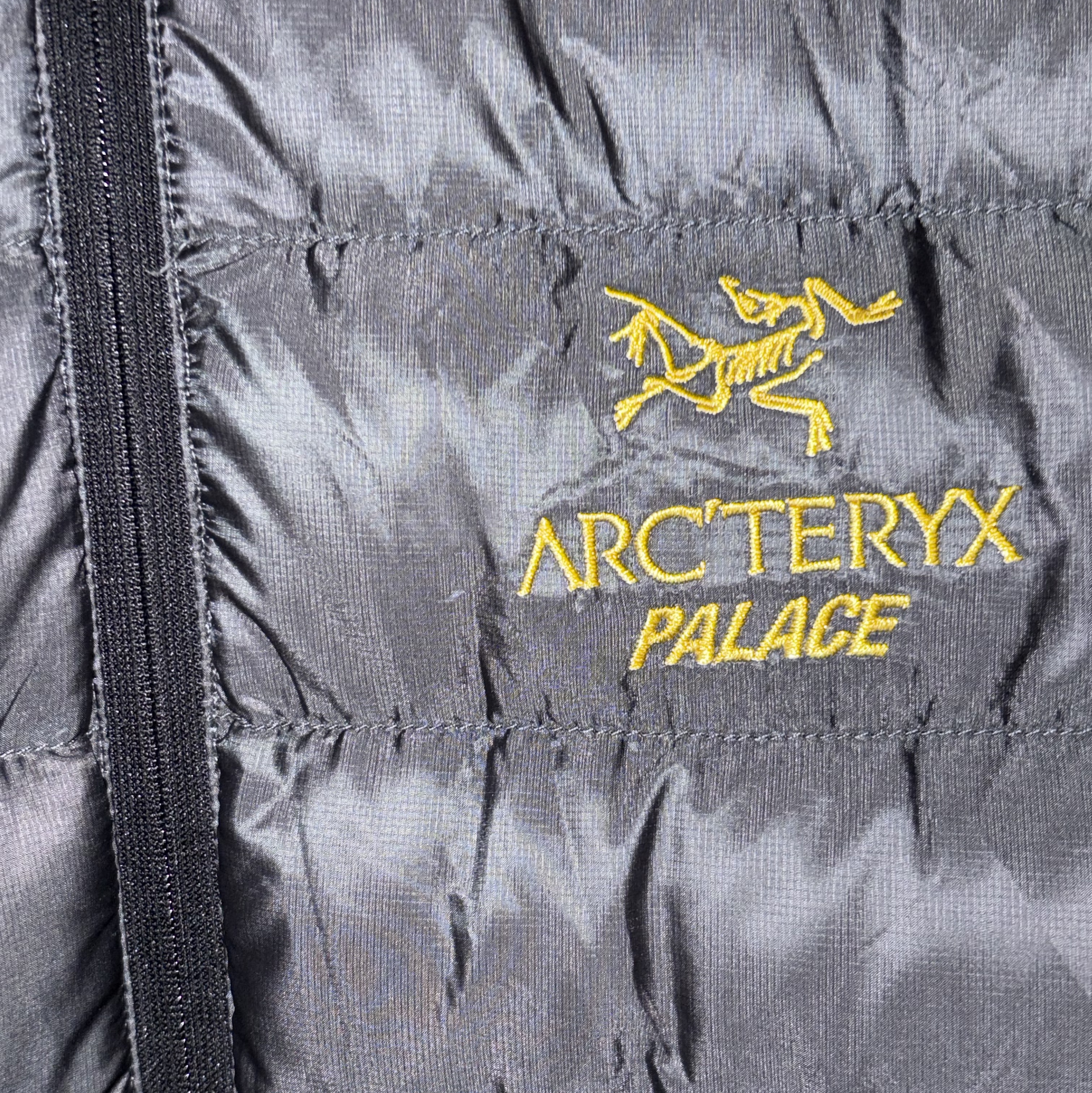 Palace x Arc'teryx Cerium LT Hoody - 20FW 착용 스타일 - 2