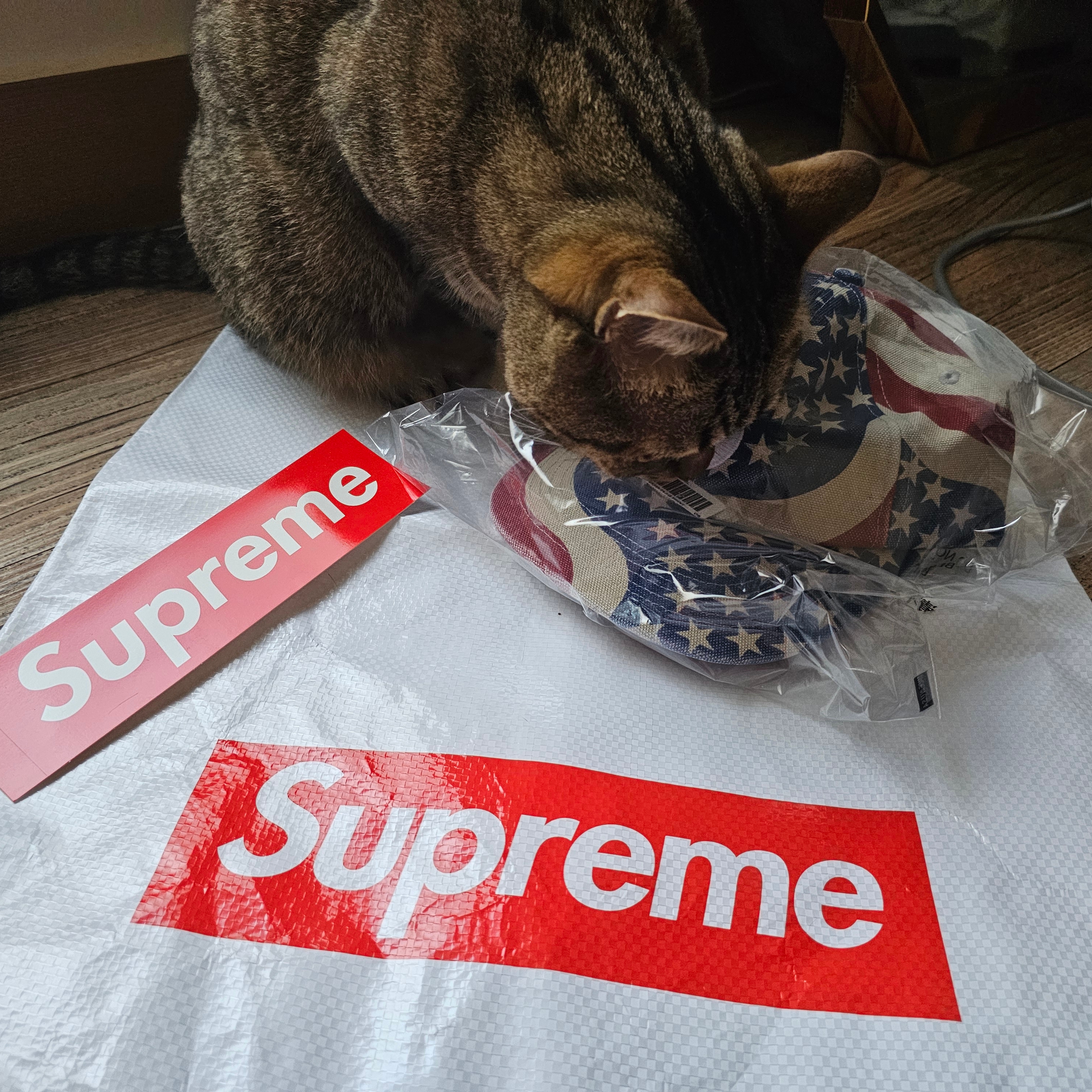 Supreme Pigment Coated S Logo 6-Panel Flag - 26SS 착용 스타일 - 4