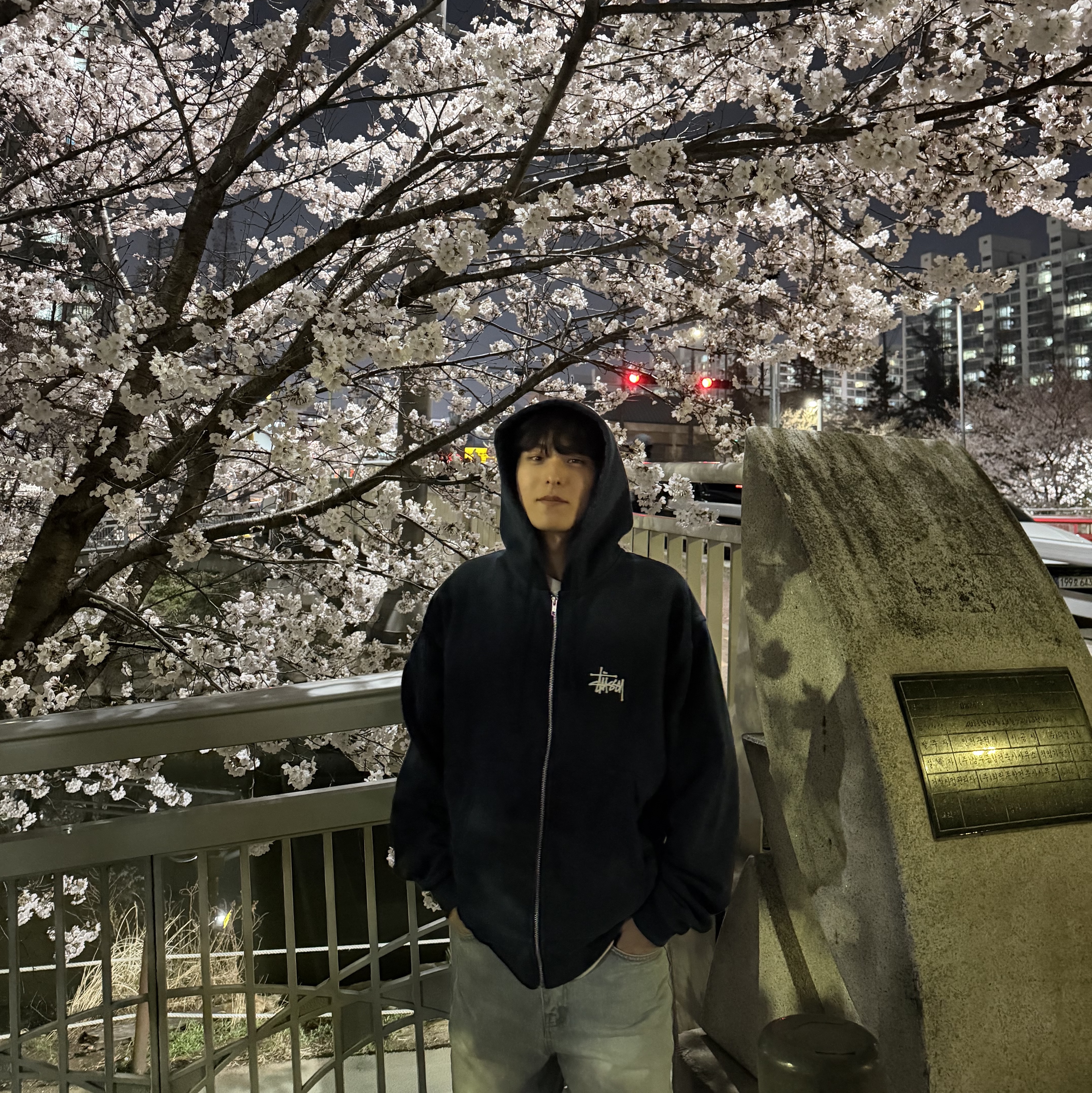 Stussy Basic Stussy Zip Hoodie Navy 2024, 2025 착용 스타일 - 1