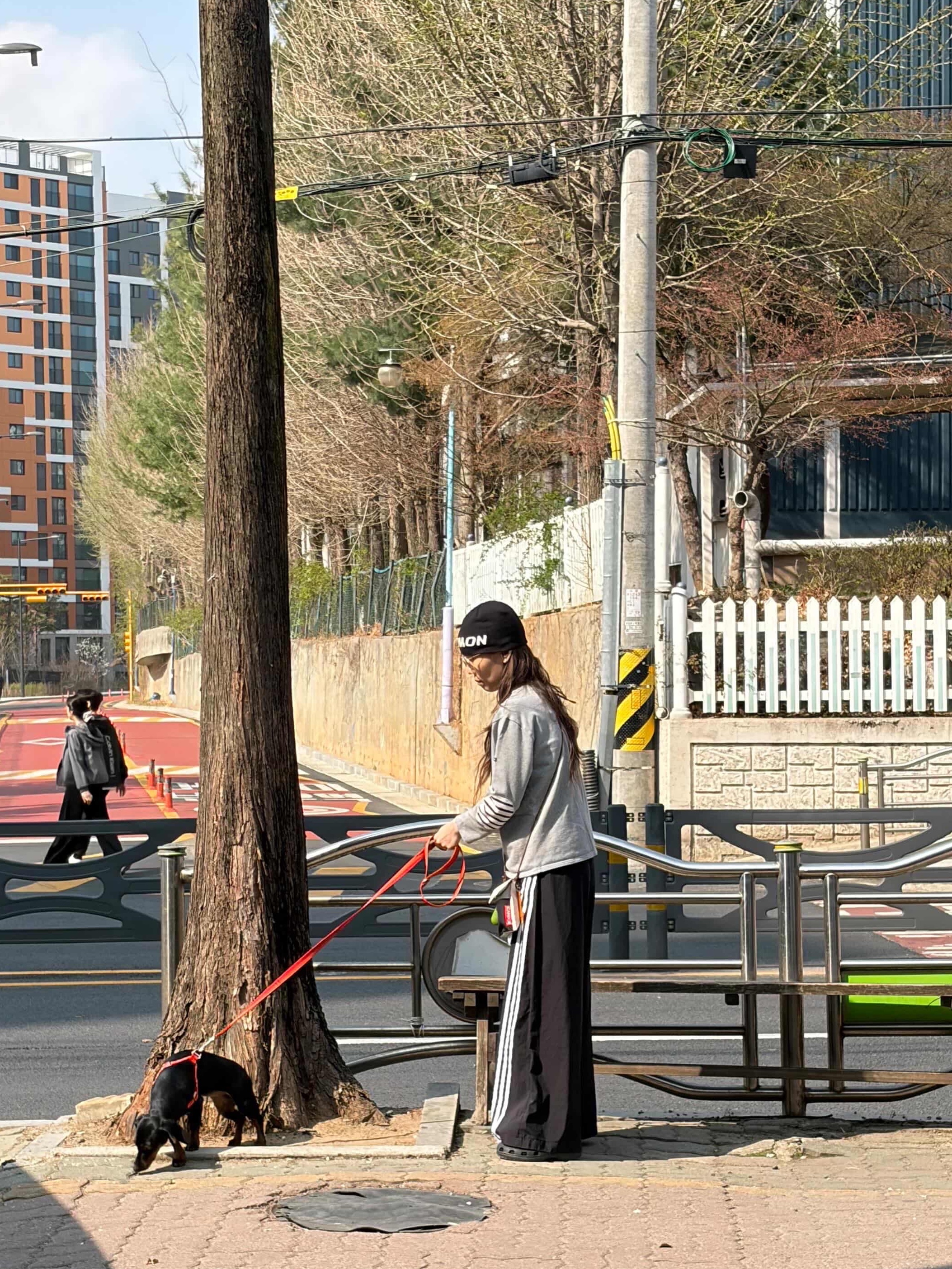 (W) Adidas Adilenium Oversized Track Pants Black - KR Sizing, Crocs Classic Clog Black 착용 스타일 - 1